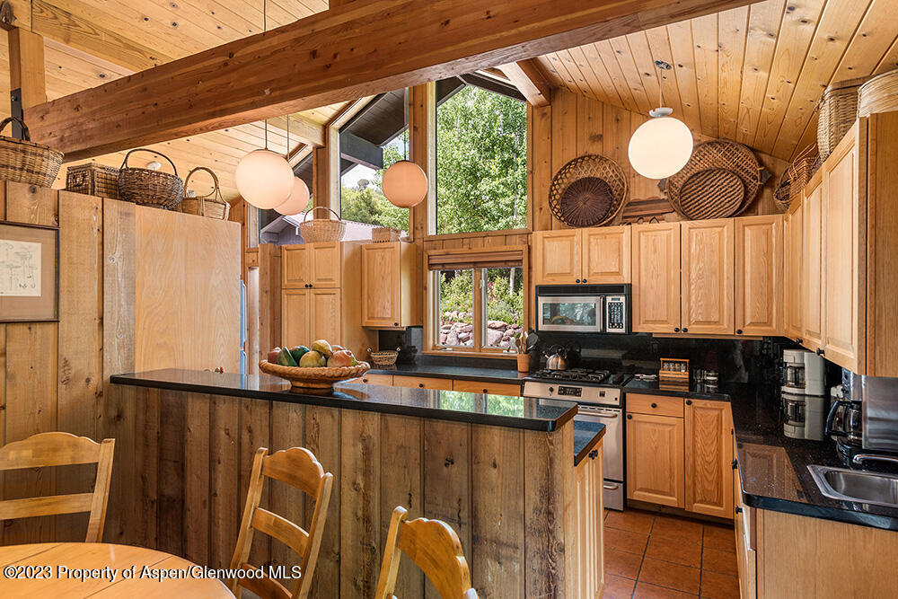 30 Smith Hill Way Woody Creek CO 81656