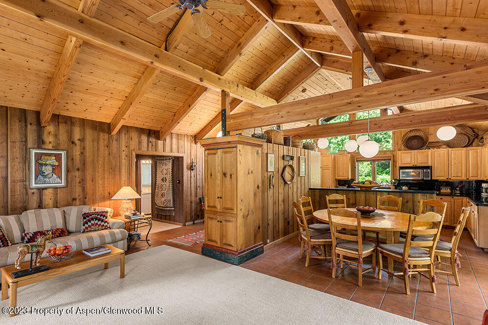 30 Smith Hill Way Woody Creek CO 81656