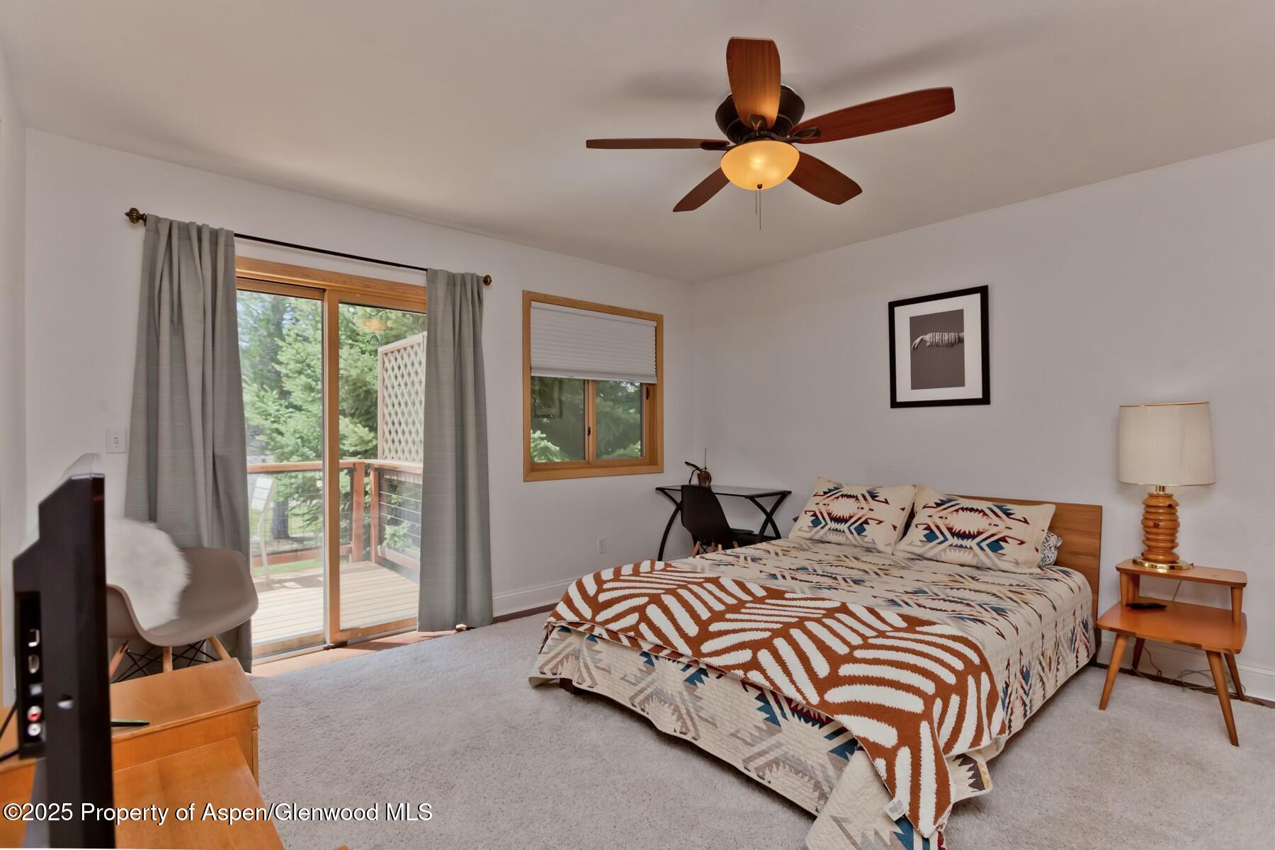 1629 Defiance Drive Carbondale CO 81623