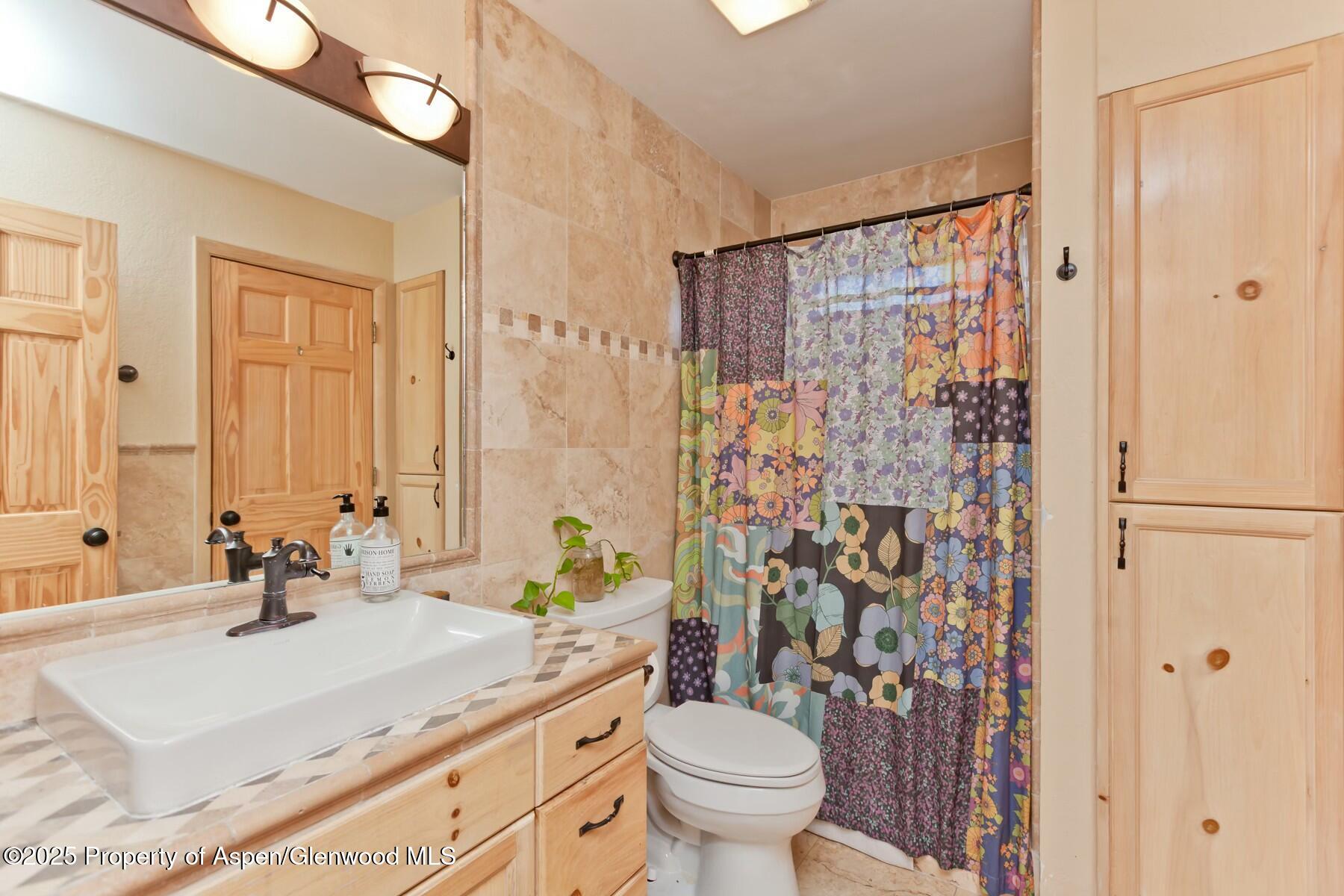 1629 Defiance Drive Carbondale CO 81623