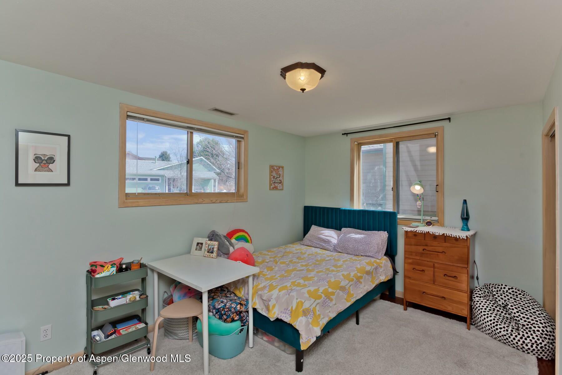 1629 Defiance Drive Carbondale CO 81623