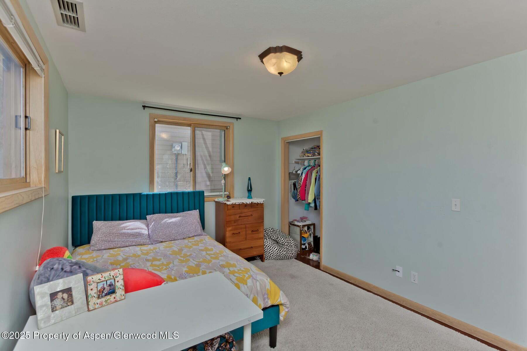 1629 Defiance Drive Carbondale CO 81623