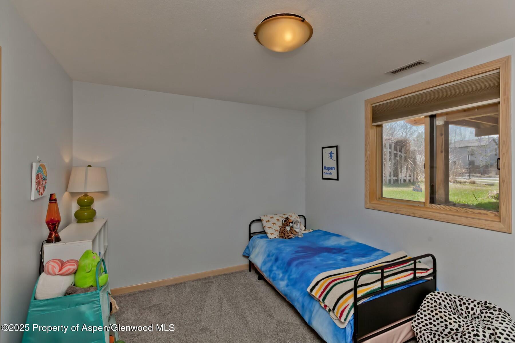 1629 Defiance Drive Carbondale CO 81623