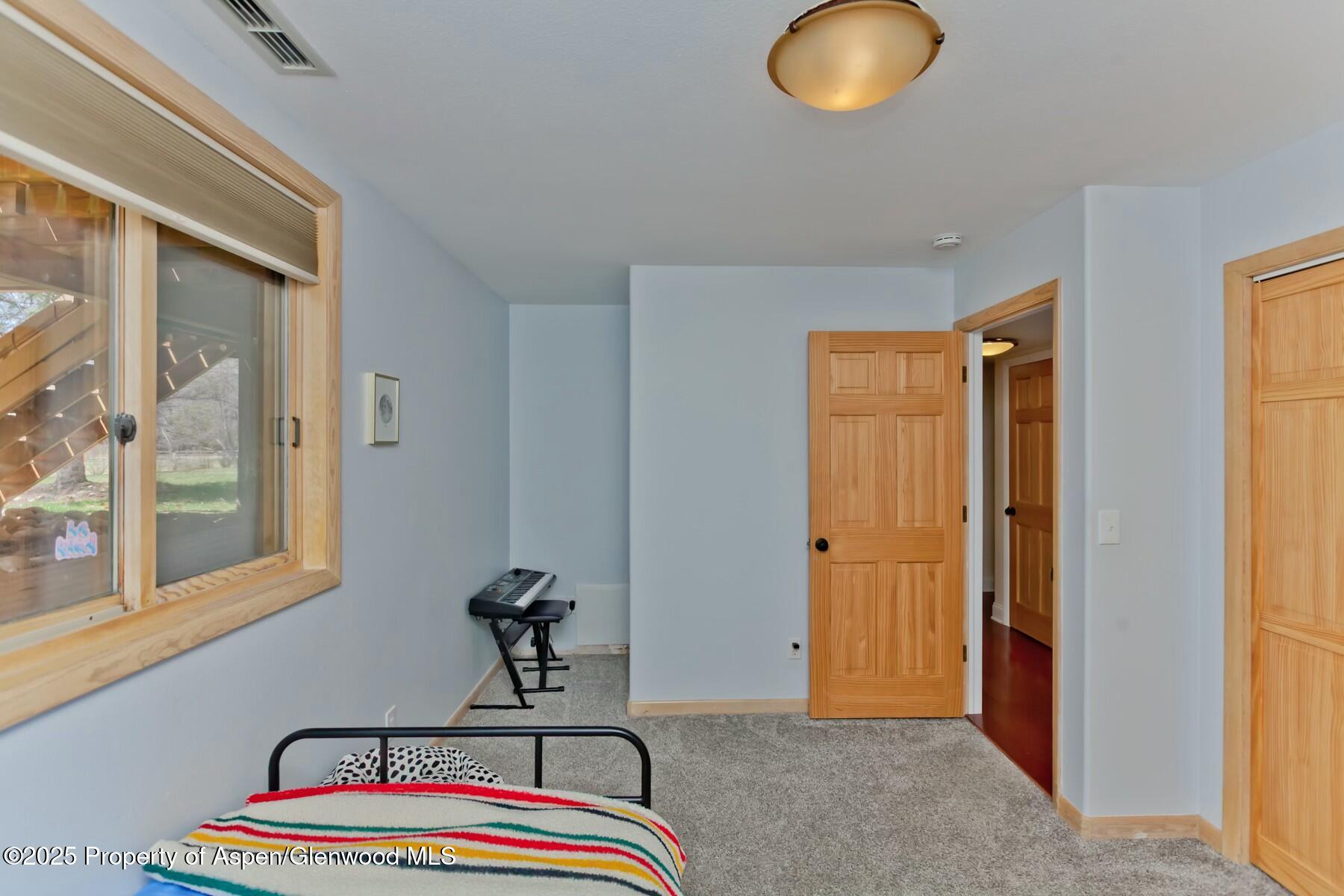 1629 Defiance Drive Carbondale CO 81623