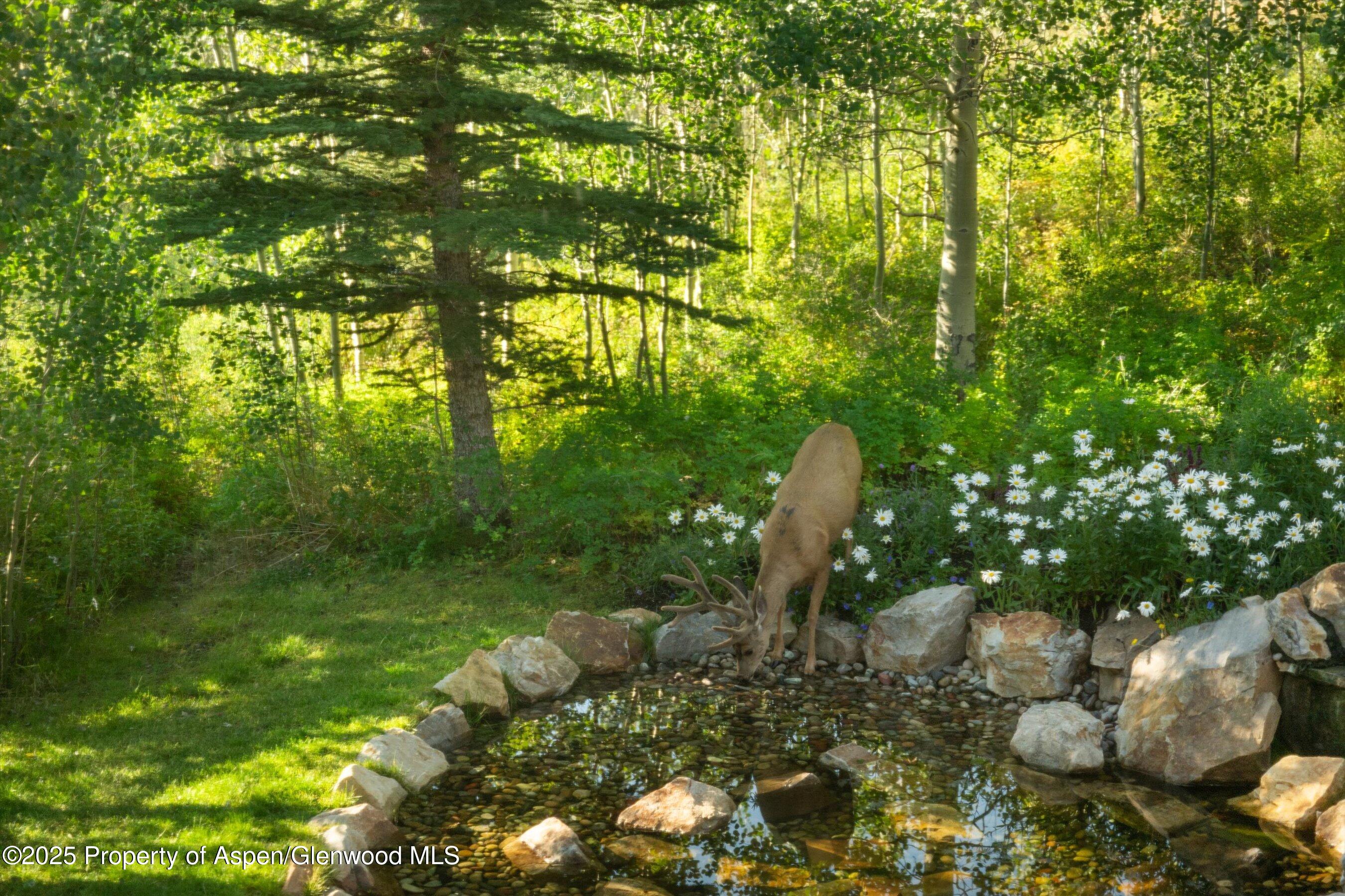 1926 Faraway Road Snowmass Village CO 81615