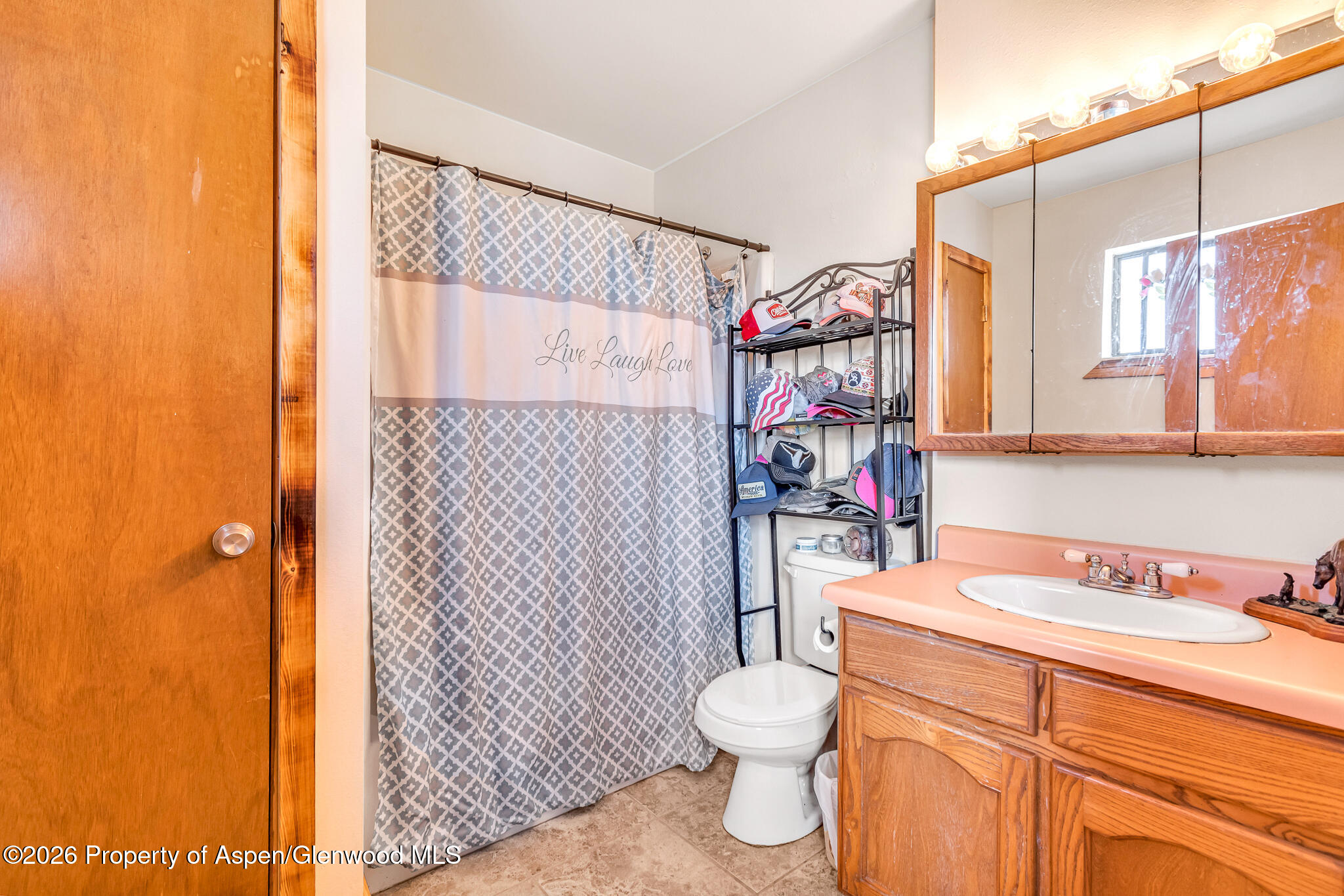 582 1600 Road Delta CO 81416