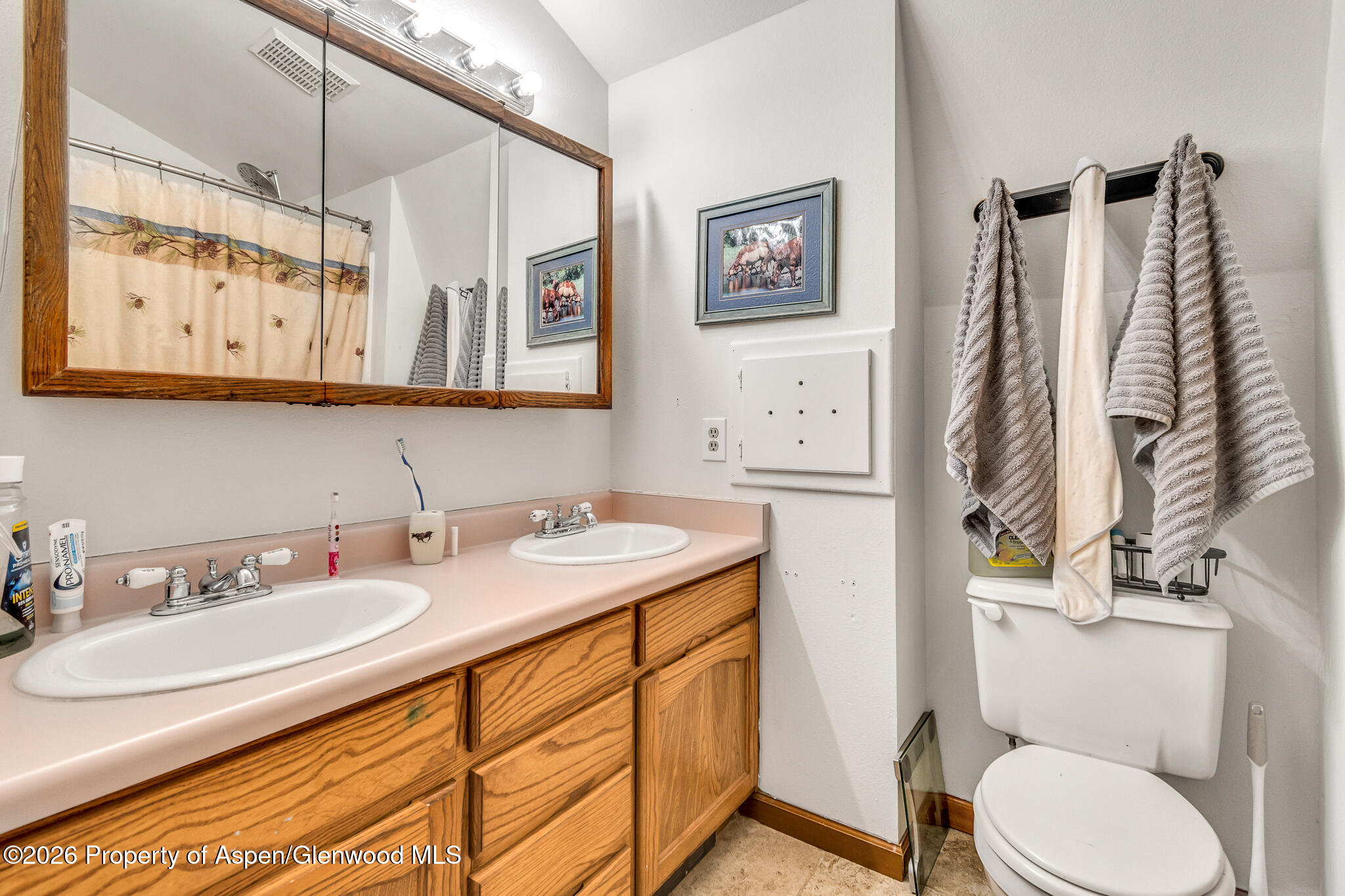 582 1600 Road Delta CO 81416