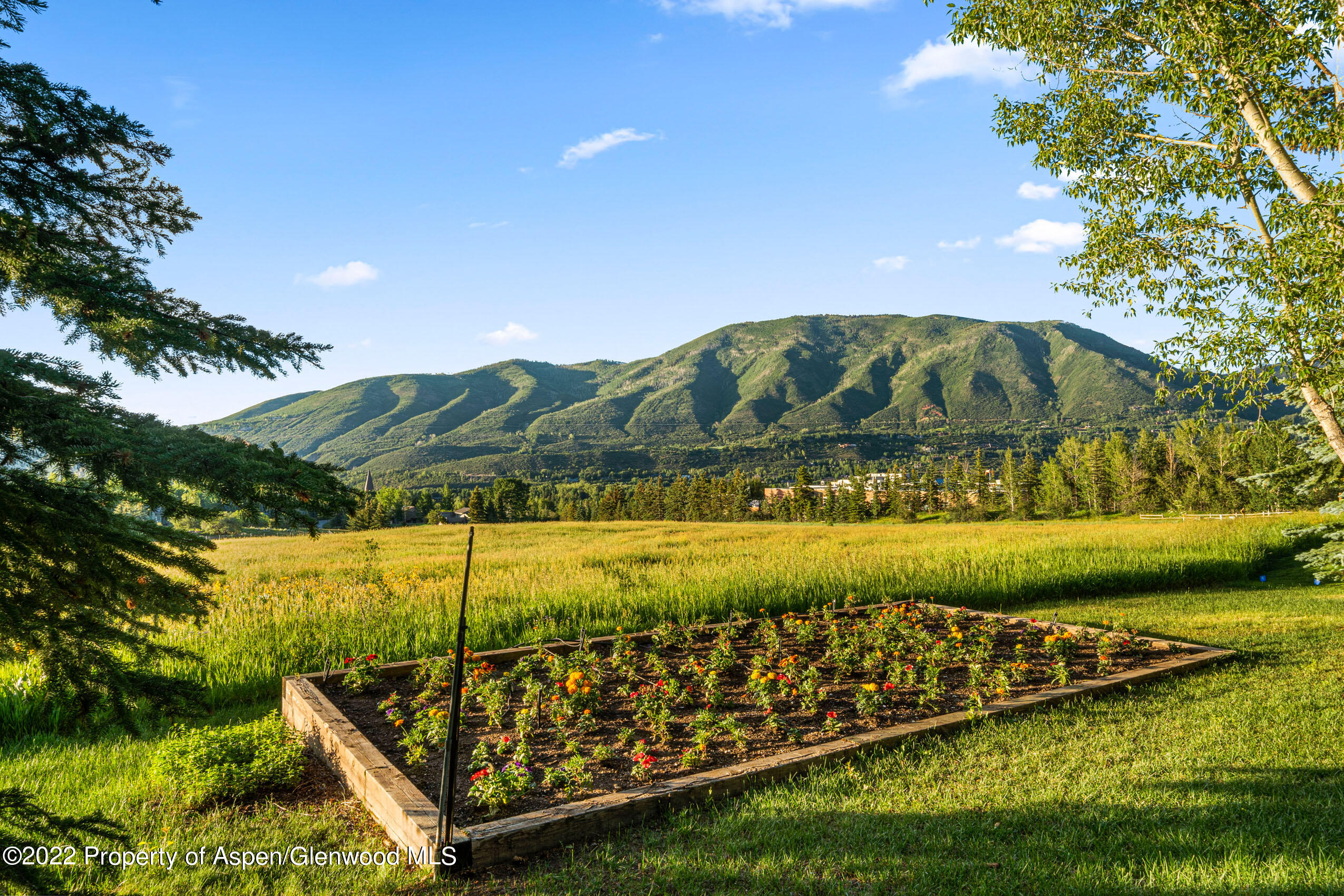 61 Primrose Path Aspen CO 81611