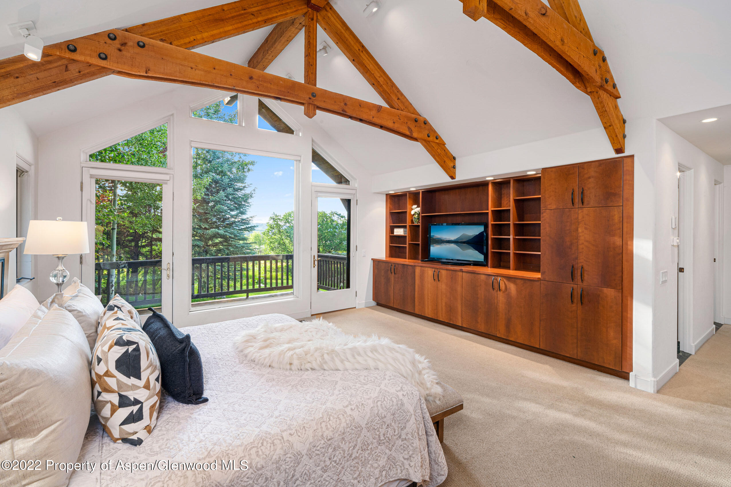 61 Primrose Path Aspen CO 81611