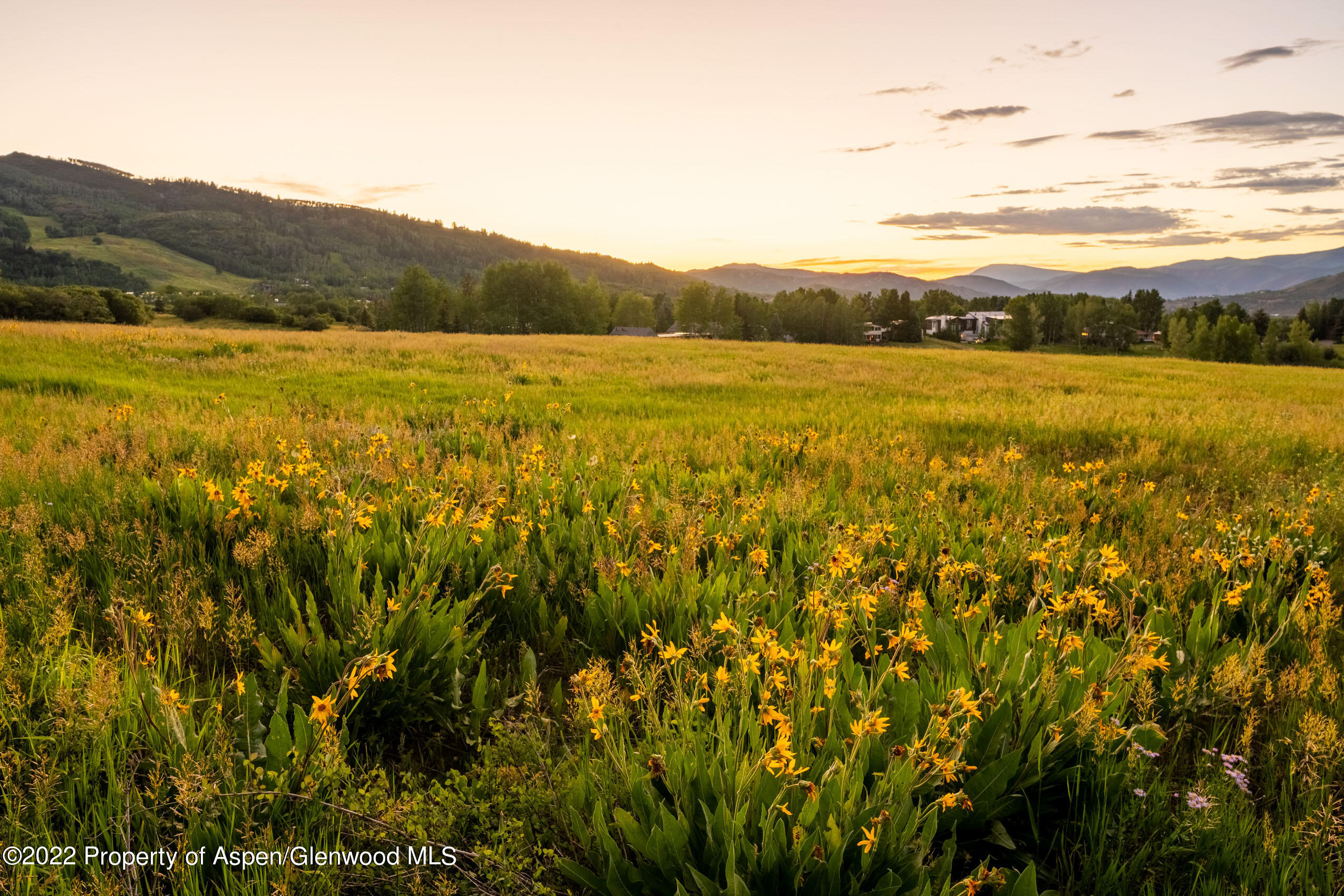 61 Primrose Path Aspen CO 81611