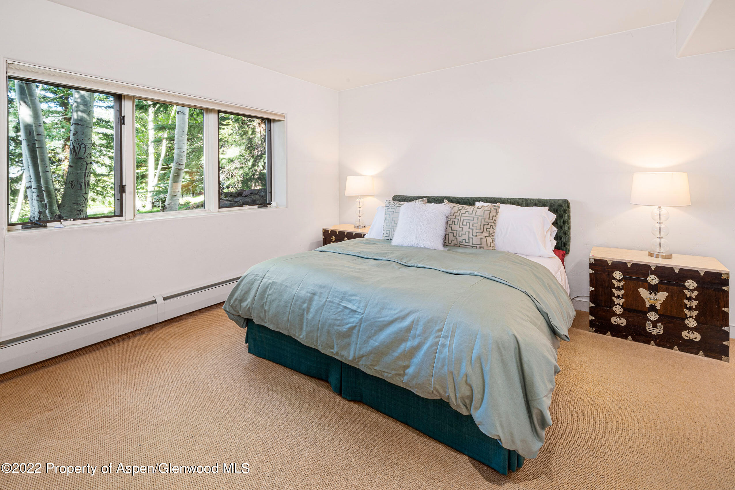 61 Primrose Path Aspen CO 81611