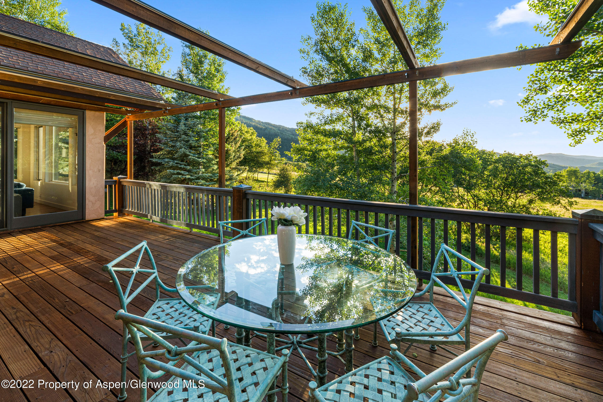 61 Primrose Path Aspen CO 81611