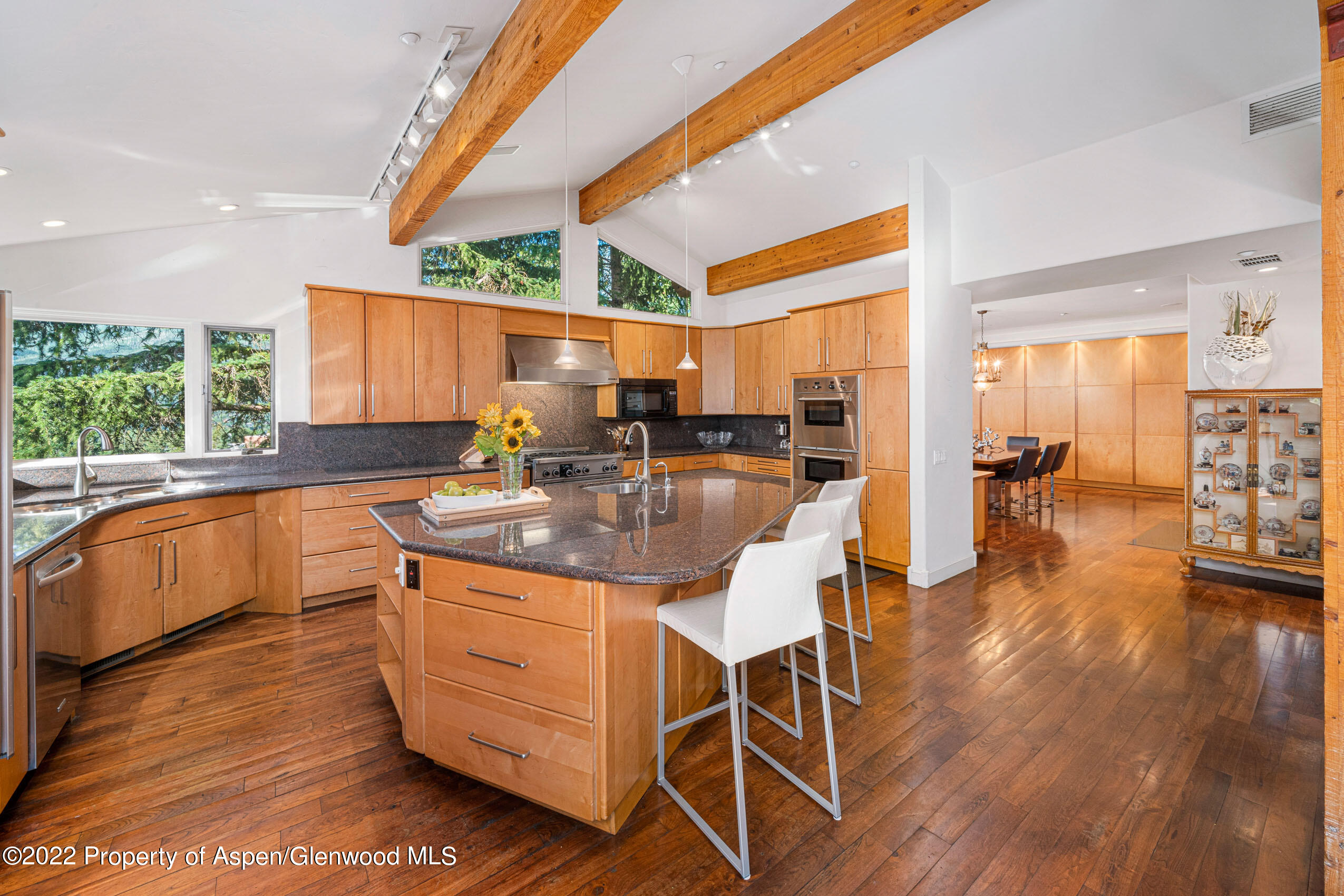 61 Primrose Path Aspen CO 81611