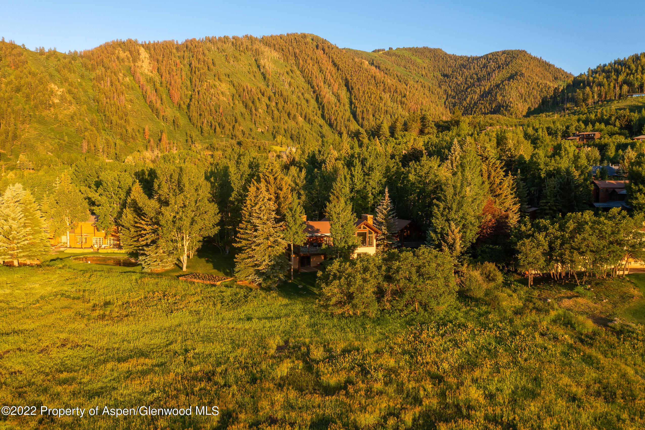 61 Primrose Path Aspen CO 81611