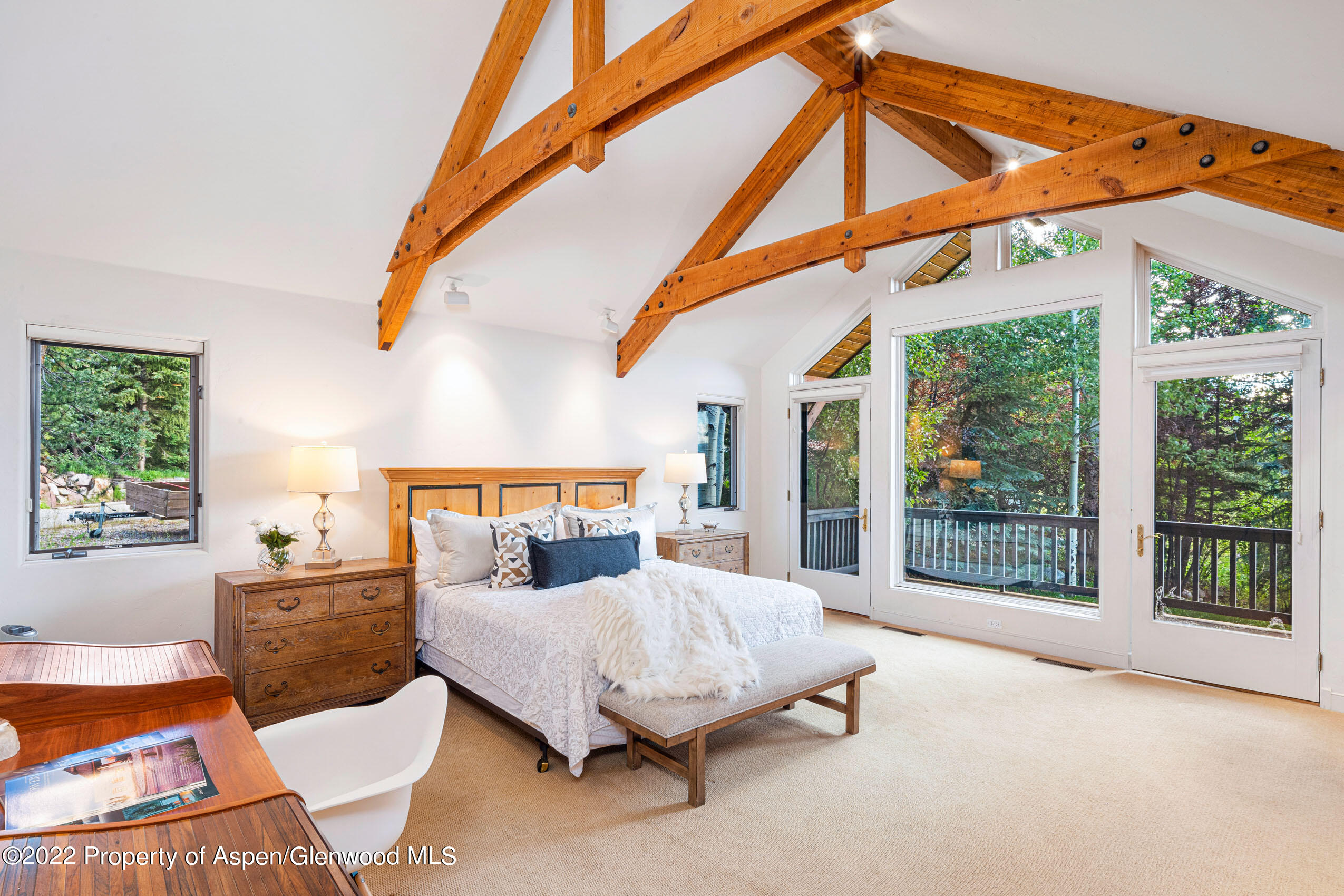 61 Primrose Path Aspen CO 81611