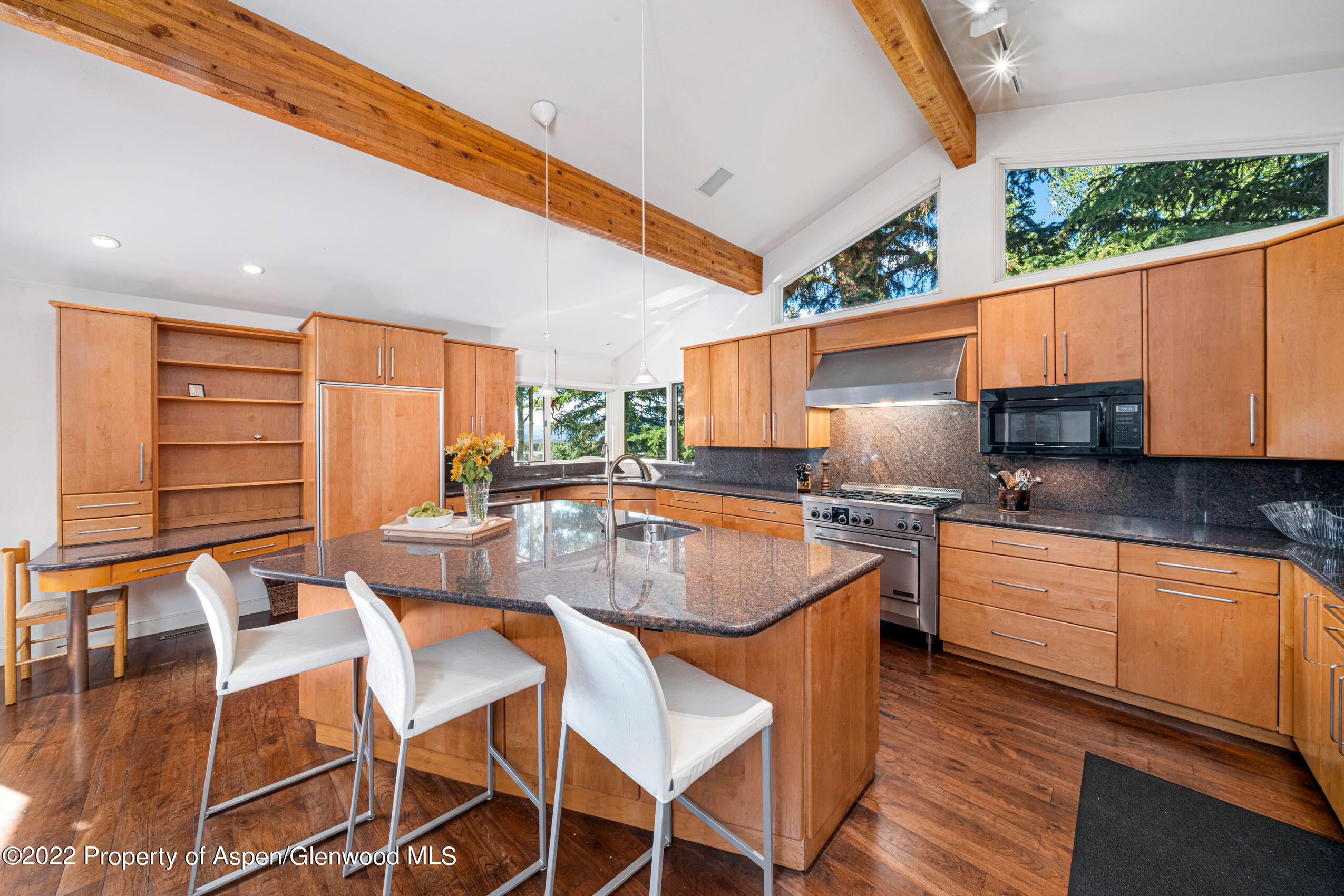 61 Primrose Path Aspen CO 81611