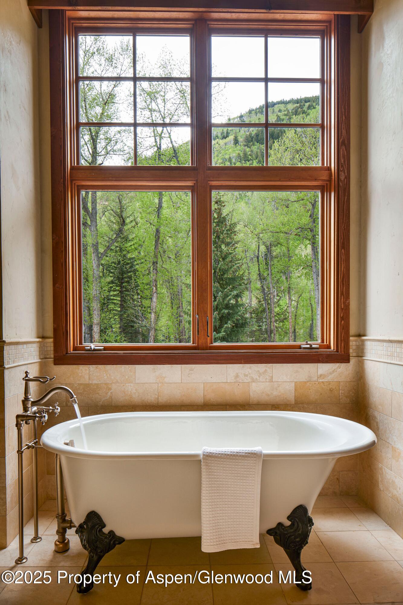 143 N Conundrum Creek Road Aspen CO 81611