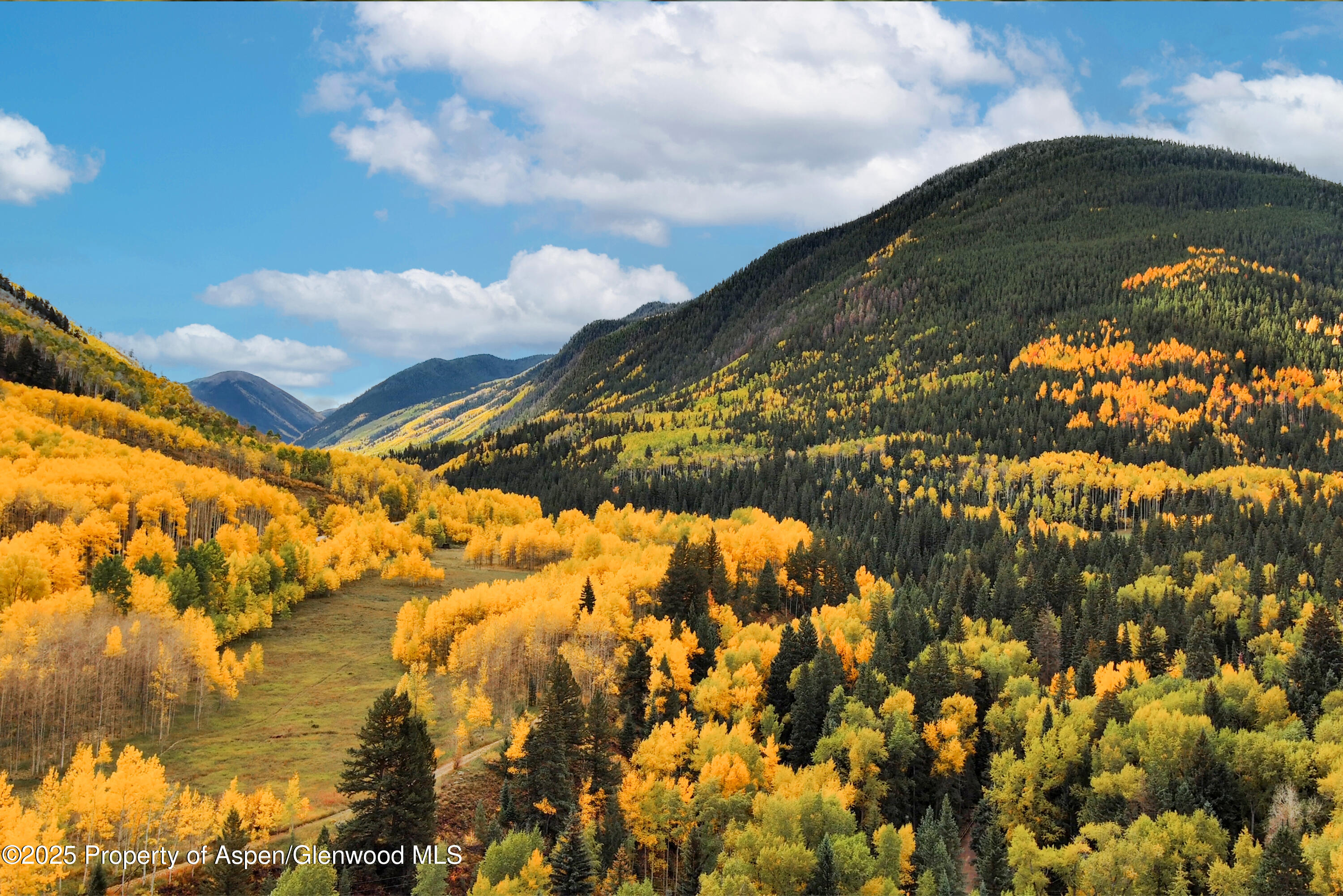 143 N Conundrum Creek Road Aspen CO 81611