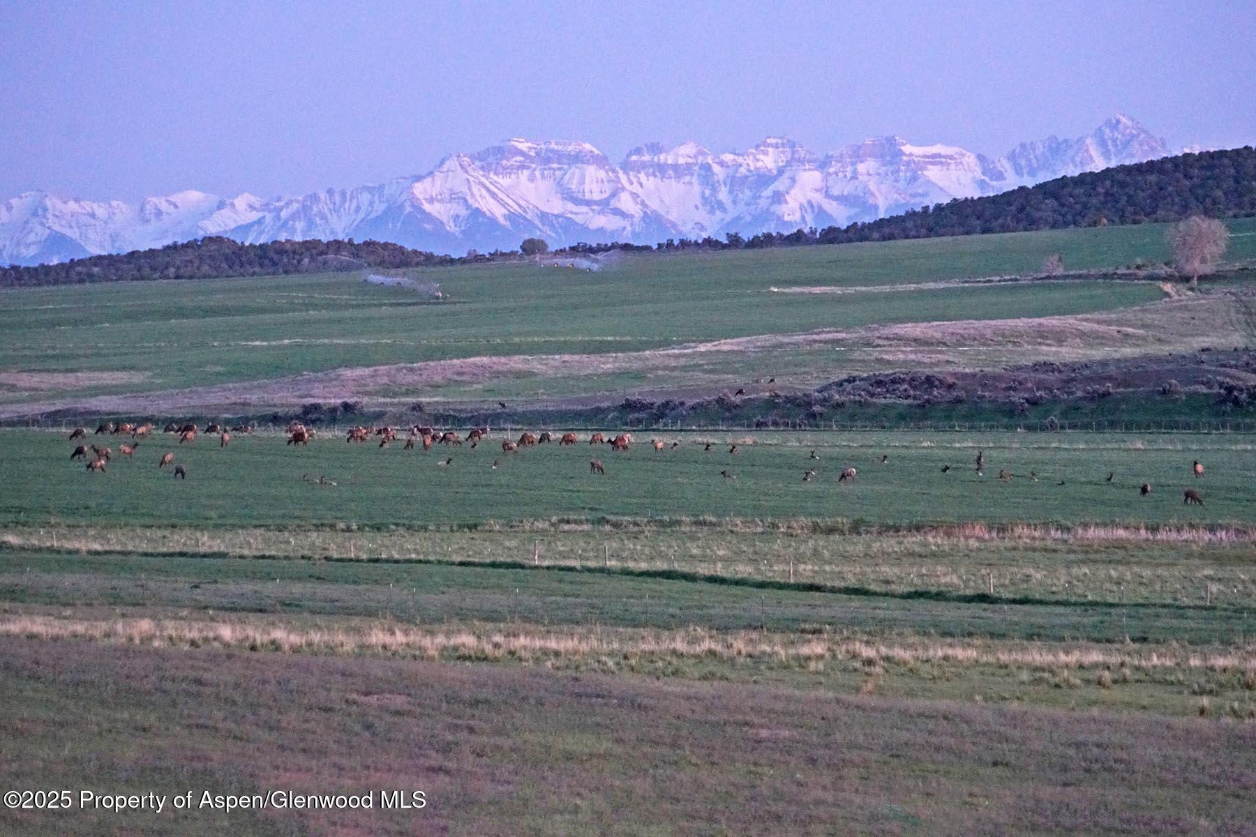 10676 Bostwick Road Montrose CO 81401