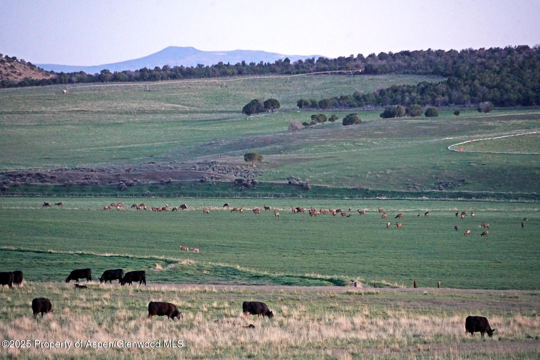 10676 Bostwick Road Montrose CO 81401