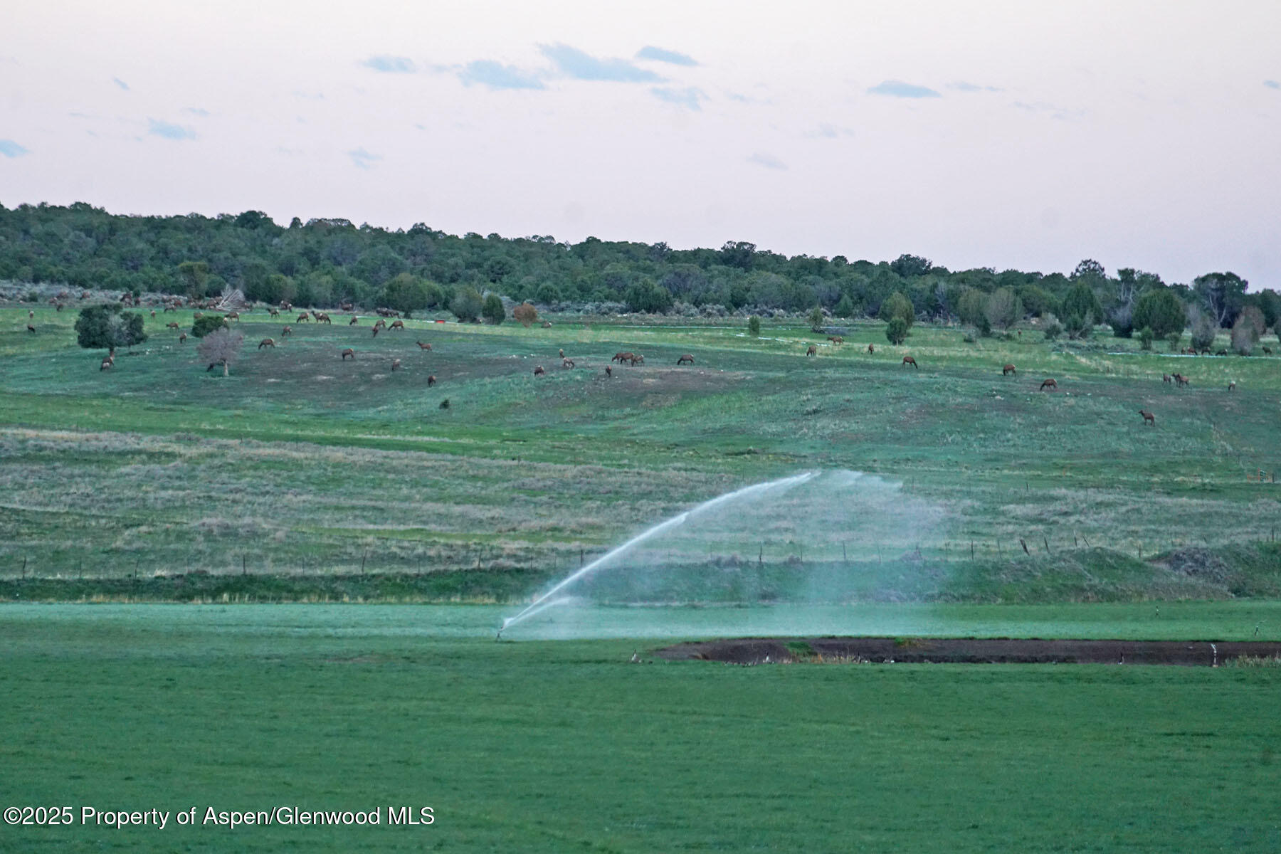 10676 Bostwick Road Montrose CO 81401