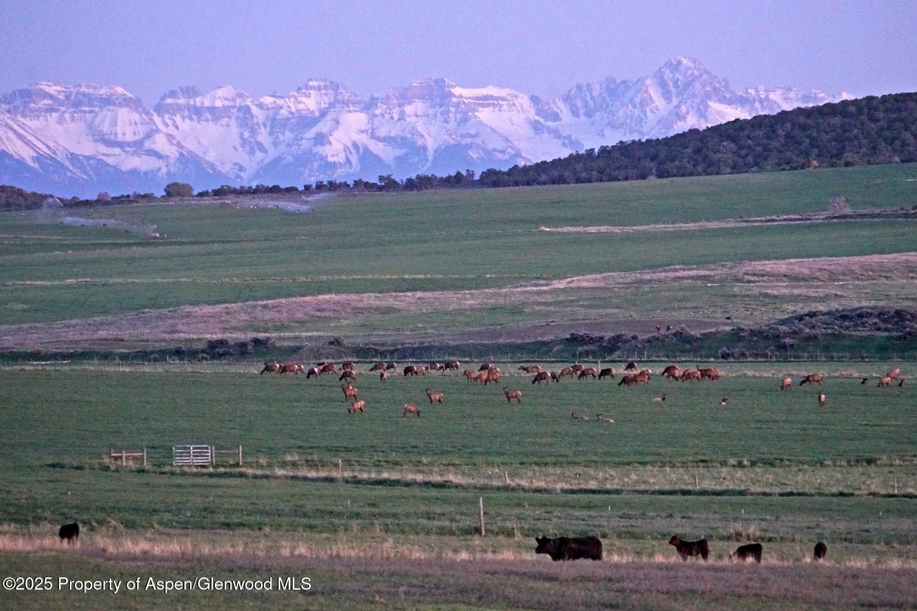 10676 Bostwick Road Montrose CO 81401