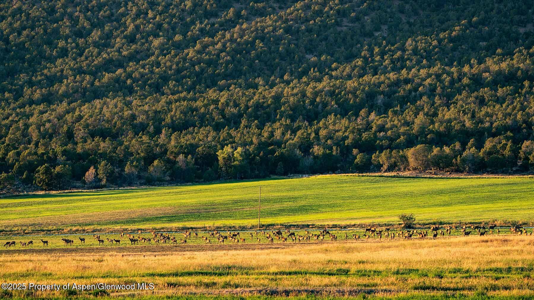 10676 Bostwick Road Montrose CO 81401