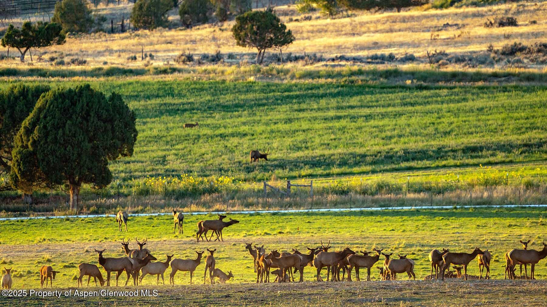 10676 Bostwick Road Montrose CO 81401