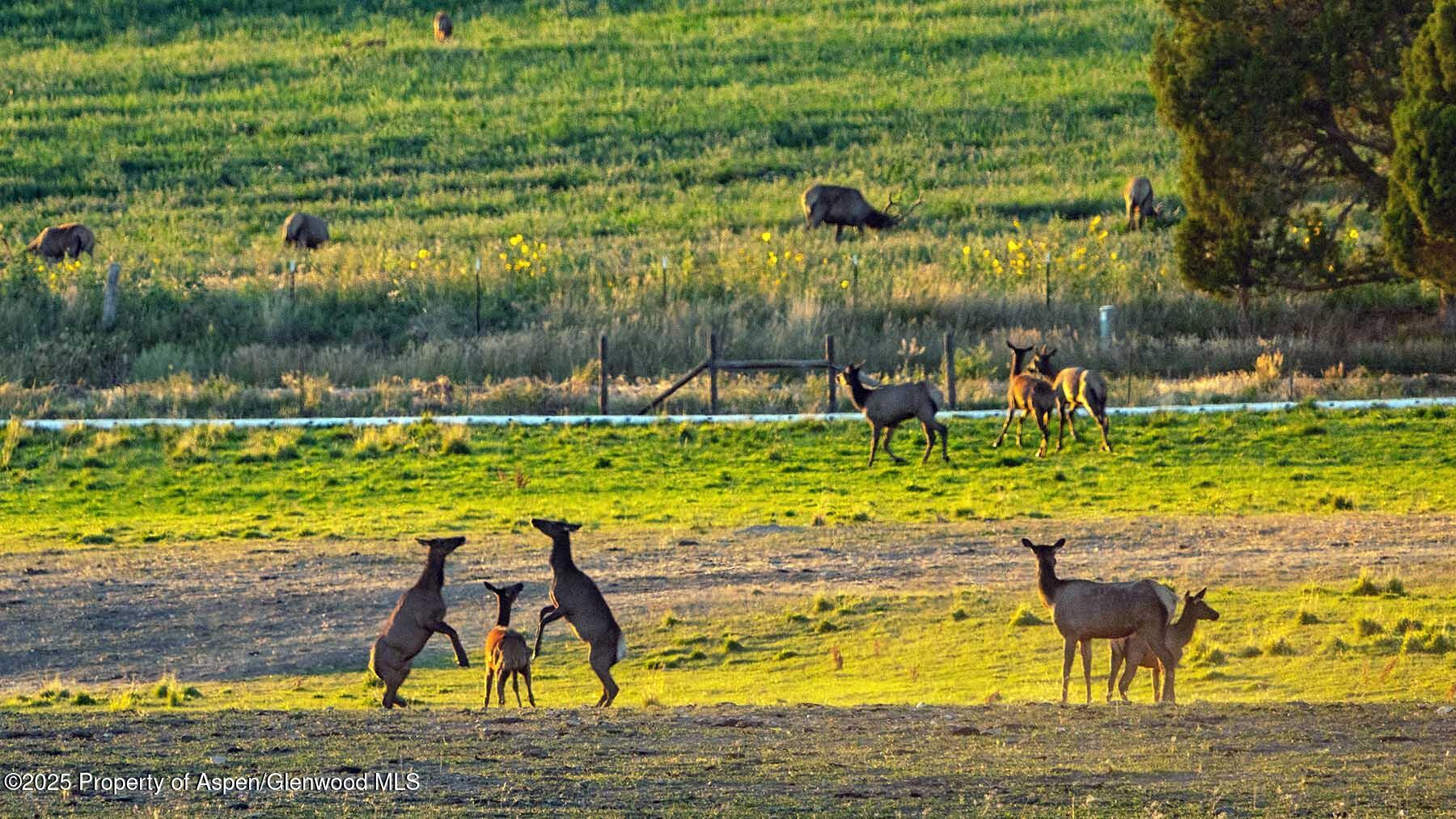 10676 Bostwick Road Montrose CO 81401