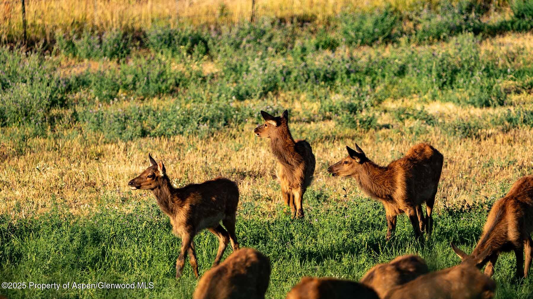 10676 Bostwick Road Montrose CO 81401