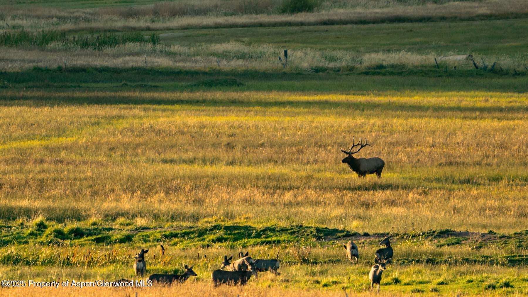 10676 Bostwick Road Montrose CO 81401