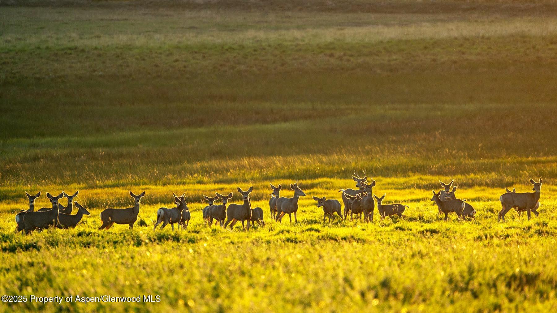 10676 Bostwick Road Montrose CO 81401