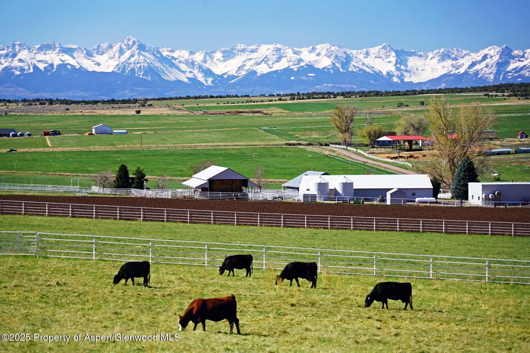 10676 Bostwick Road Montrose CO 81401