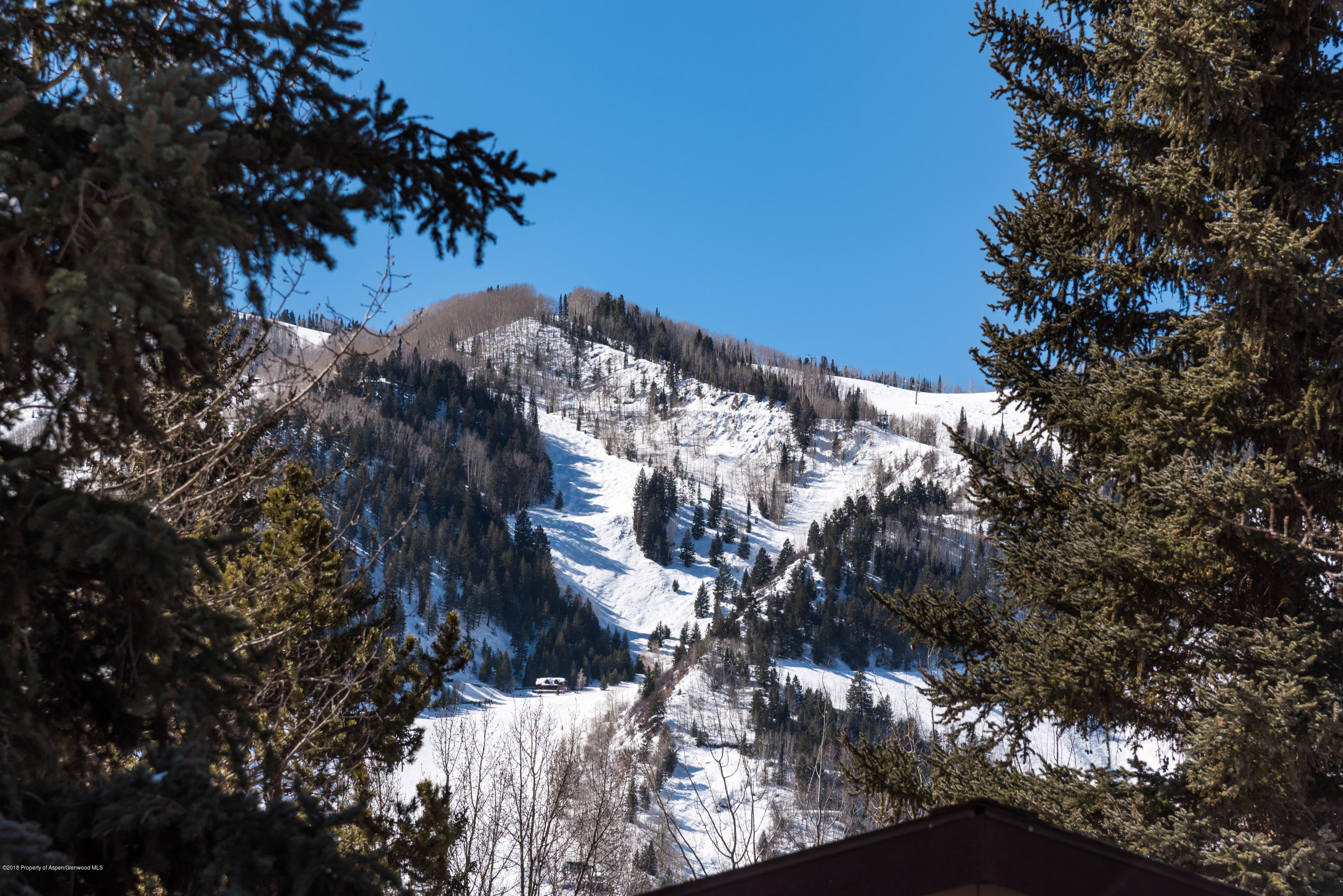 208 Cottonwood Lane Aspen CO 81611
