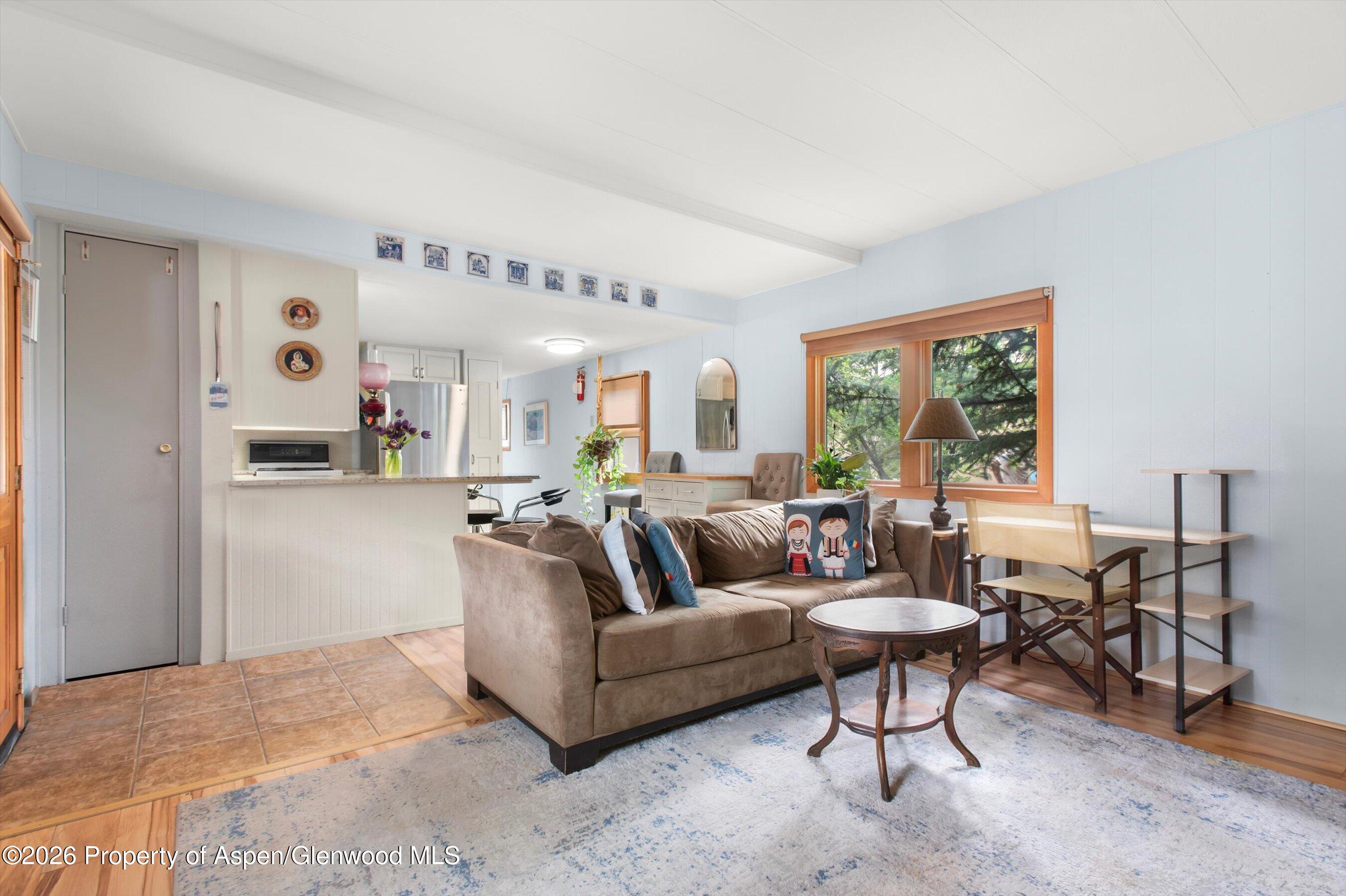 311 Oak Lane Aspen CO 81611