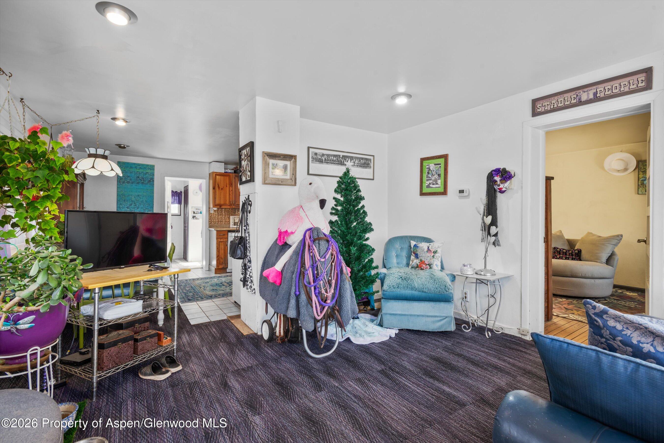 0488 Skipper Drive Carbondale CO 81623