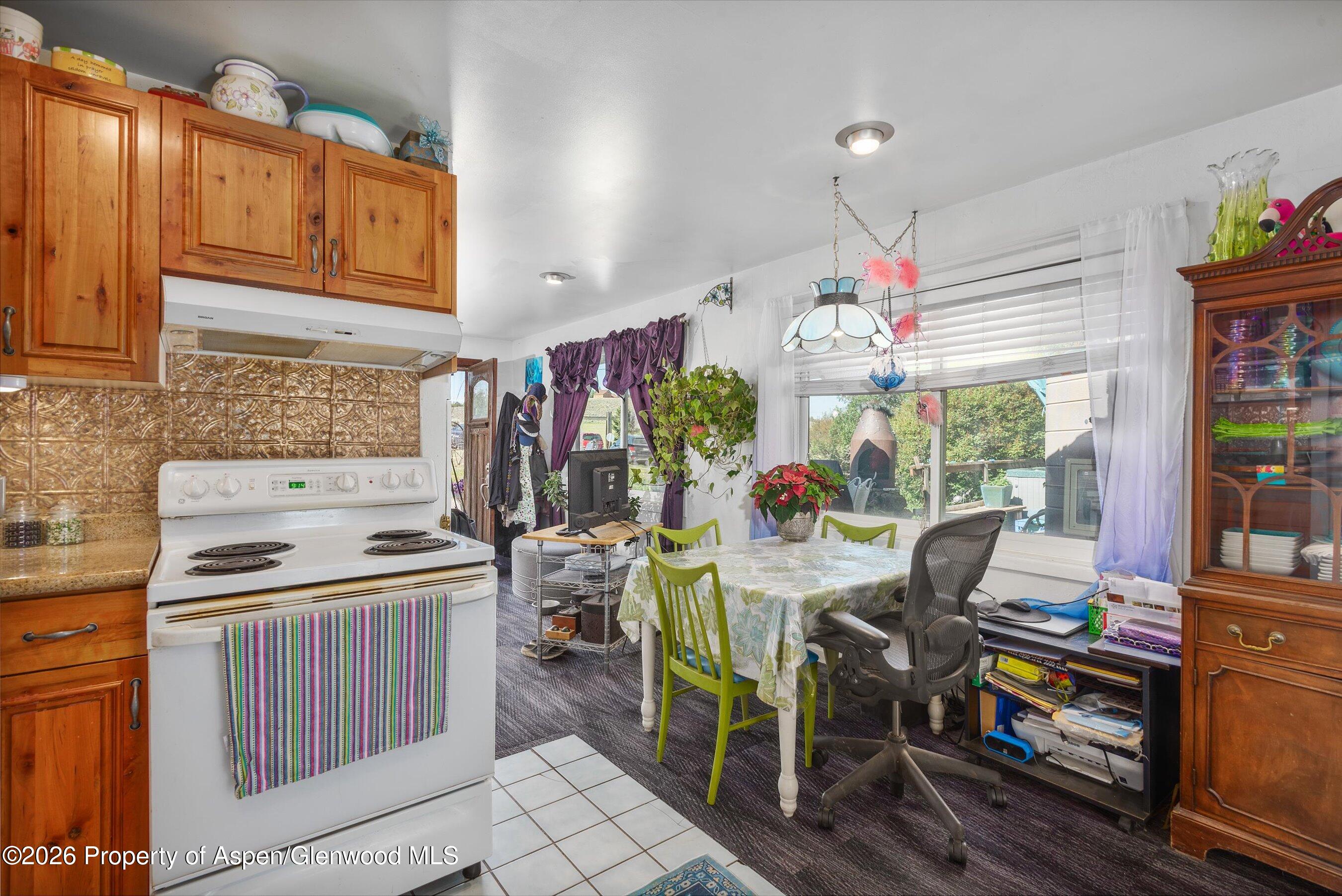 0488 Skipper Drive Carbondale CO 81623