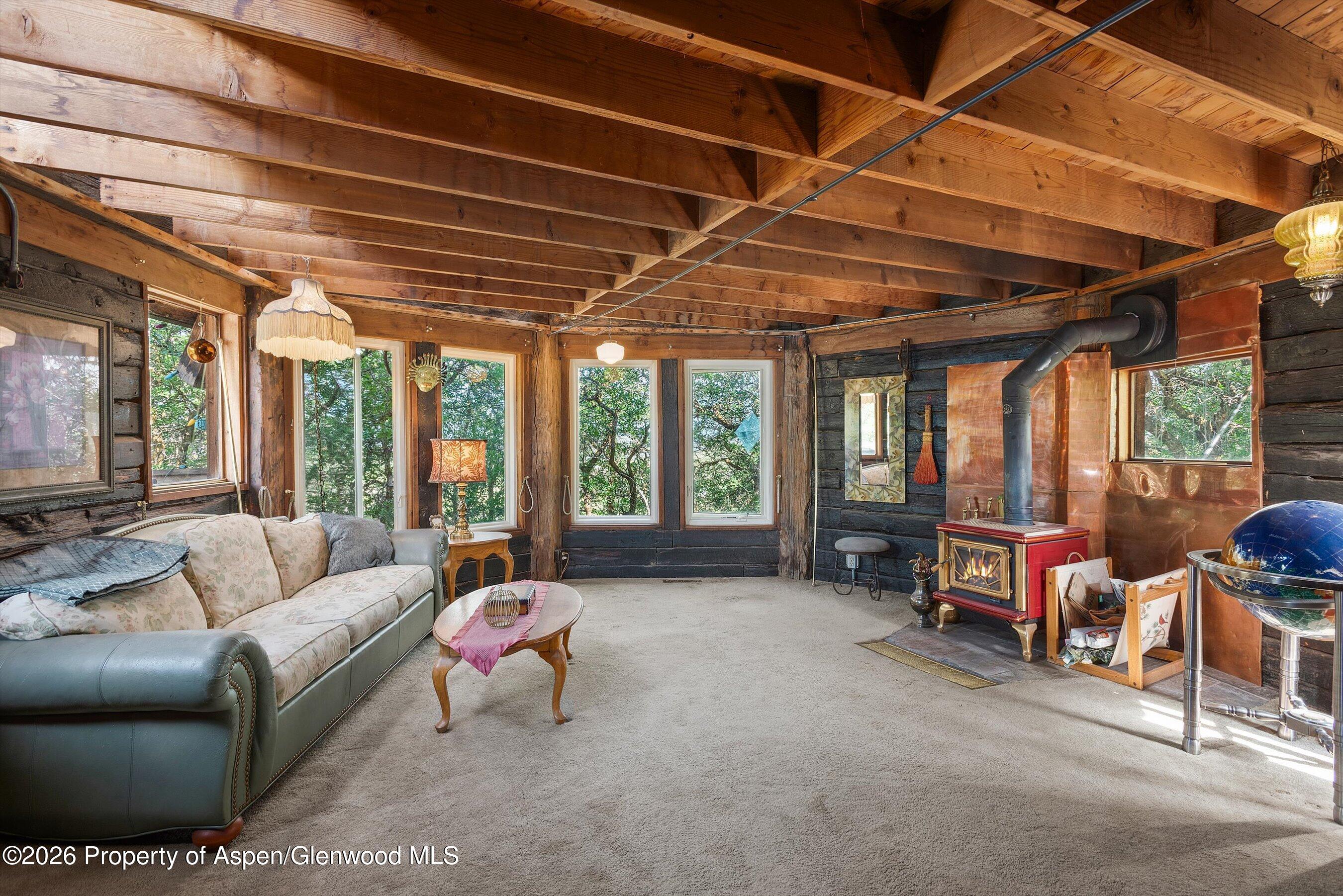 0488 Skipper Drive Carbondale CO 81623