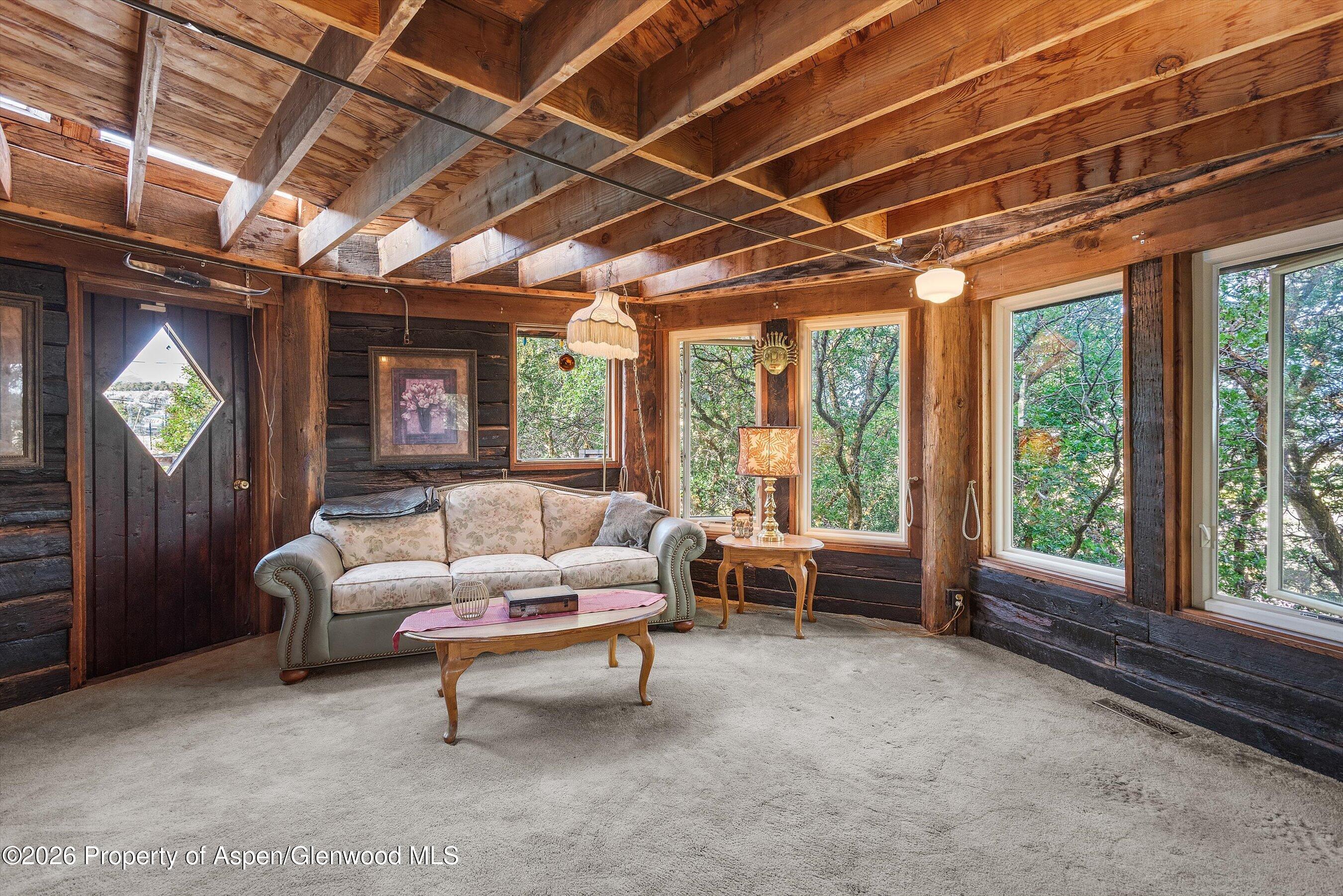 0488 Skipper Drive Carbondale CO 81623