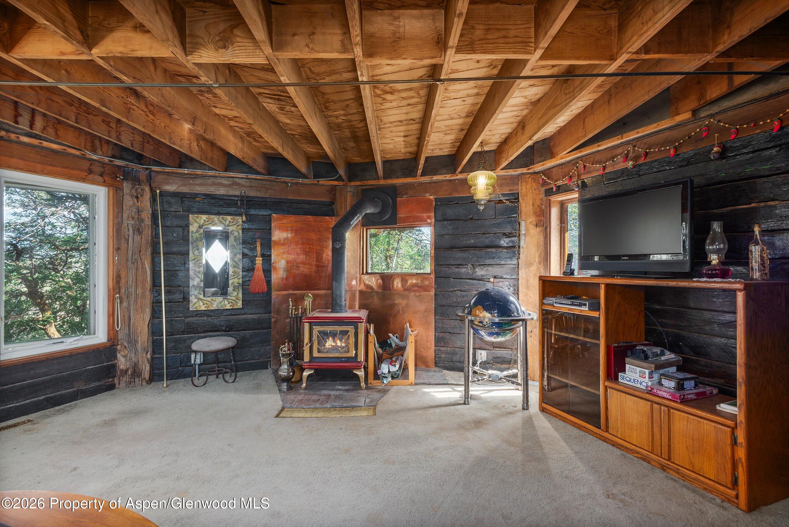 0488 Skipper Drive Carbondale CO 81623