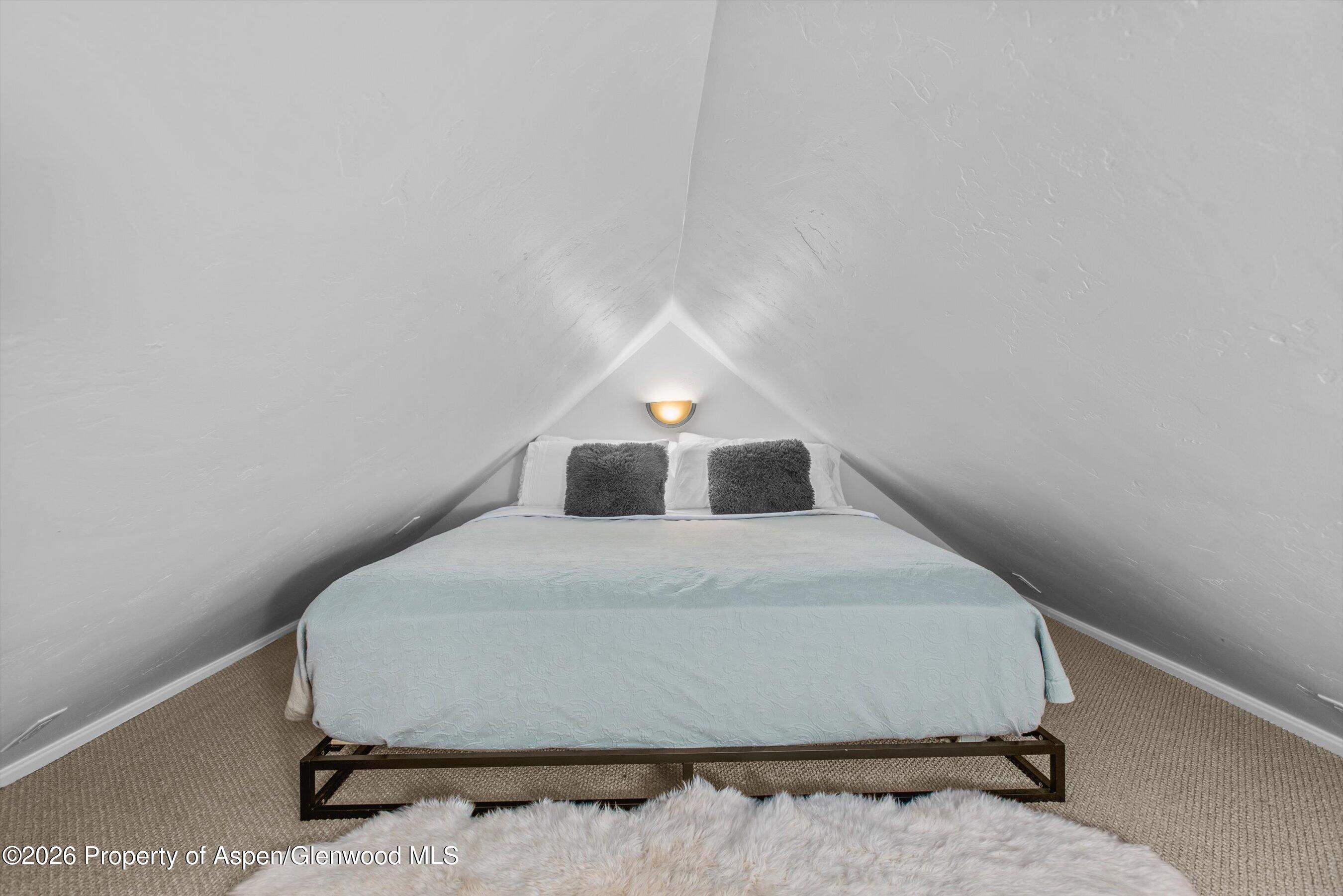 735 W Bleeker Street Aspen CO 81611