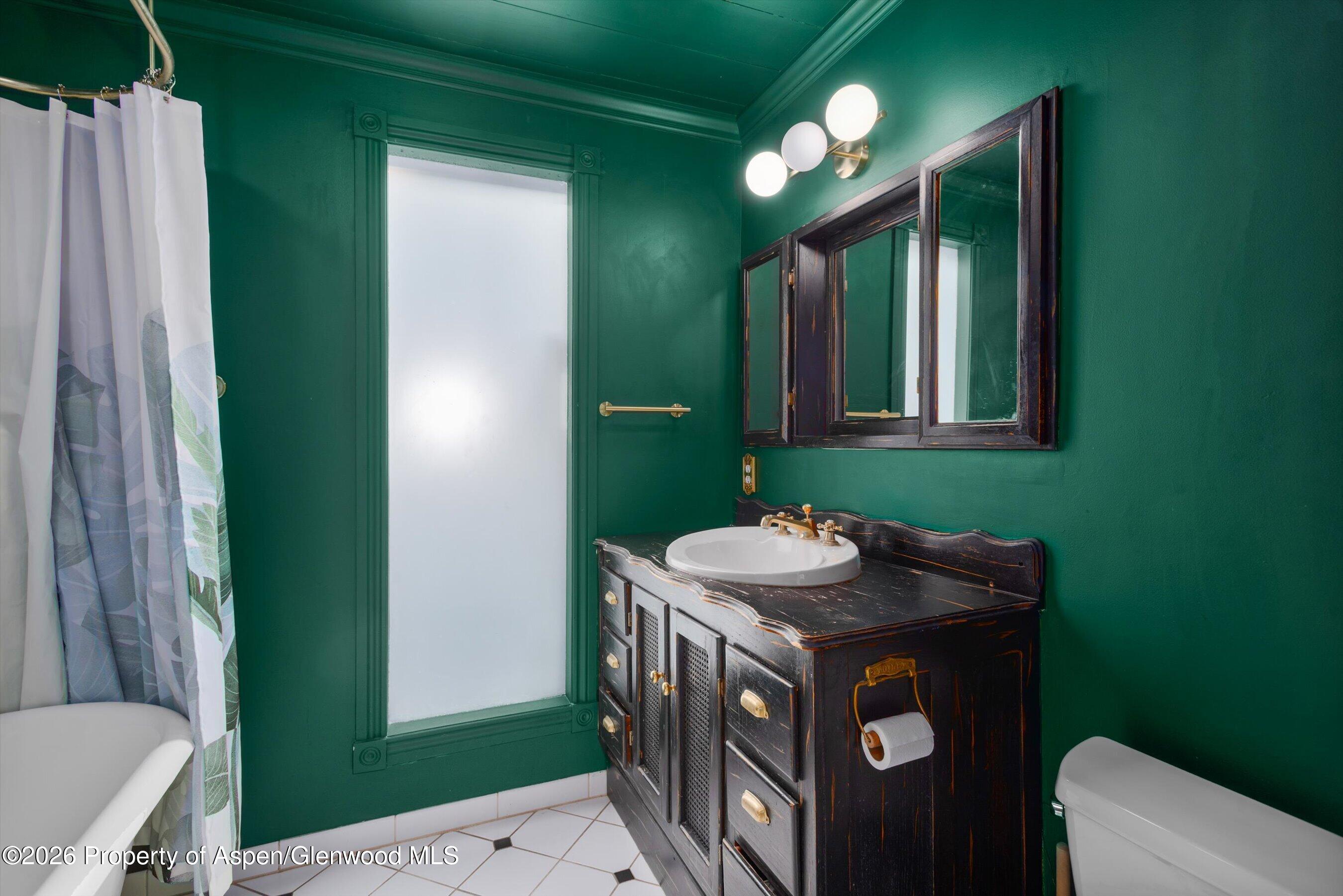 735 W Bleeker Street Aspen CO 81611