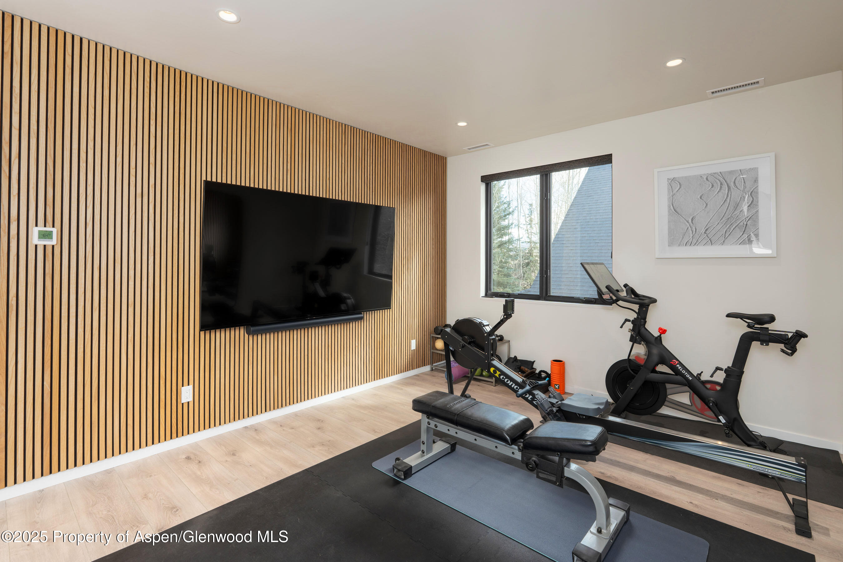 219 Juniper Court Basalt CO 81621