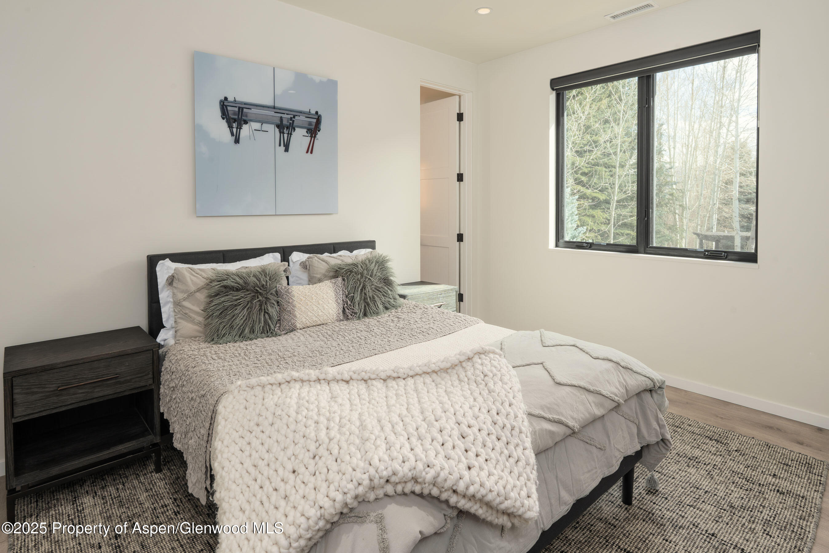 219 Juniper Court Basalt CO 81621