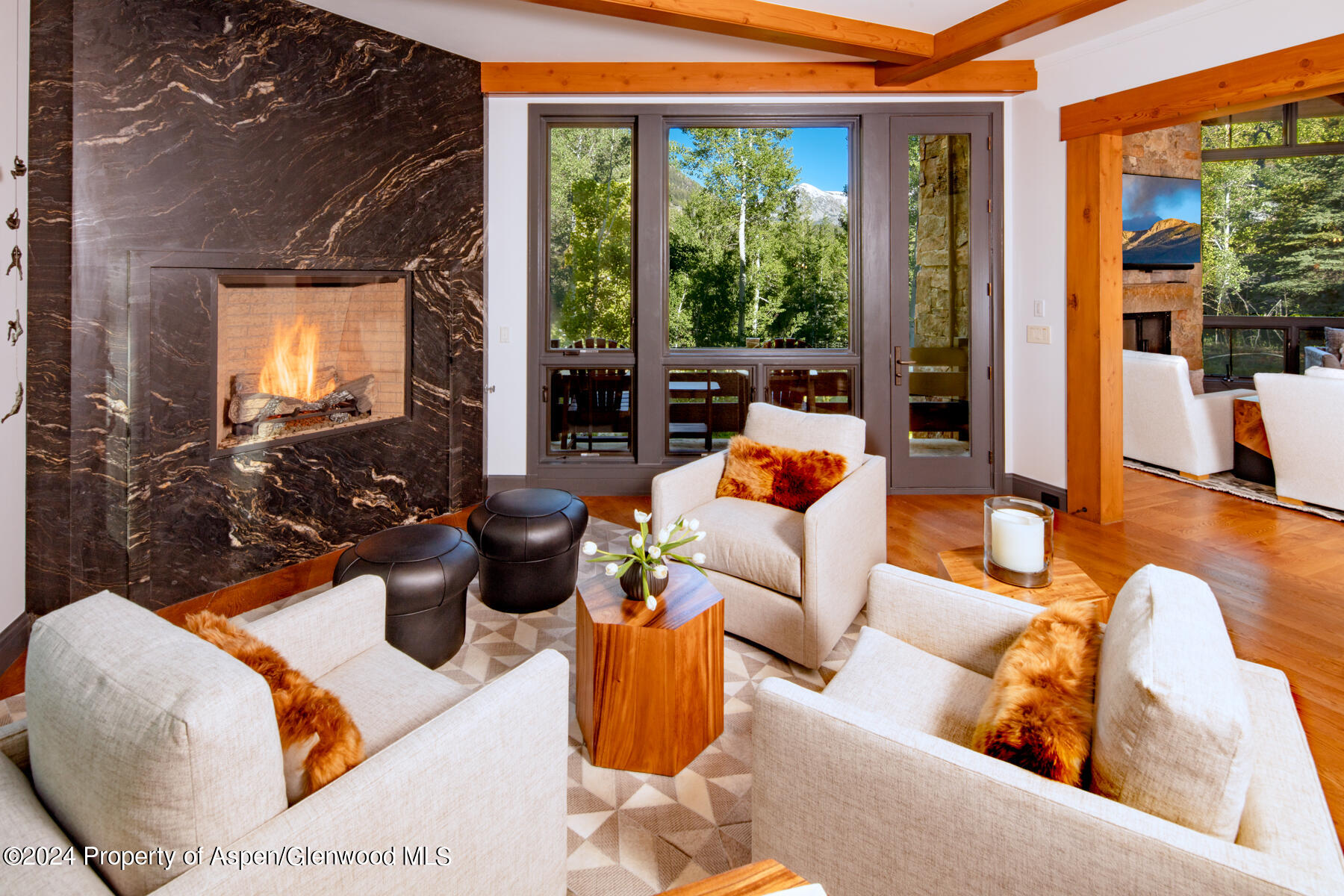 170 Popcorn Lane Aspen CO 81611