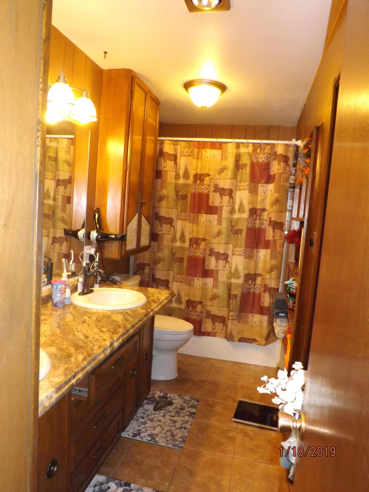 26 Maroon Drive Carbondale CO 81623