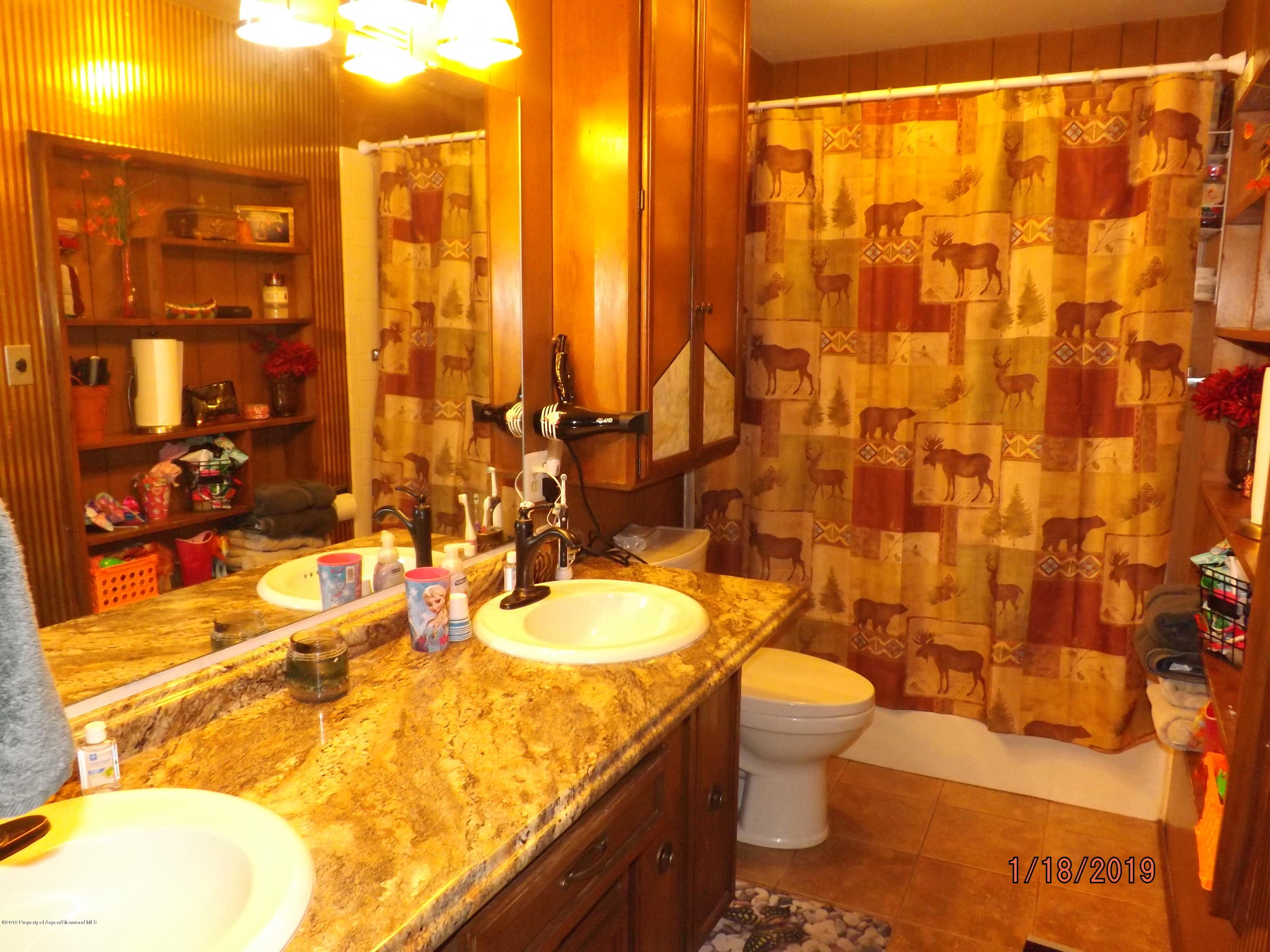 26 Maroon Drive Carbondale CO 81623