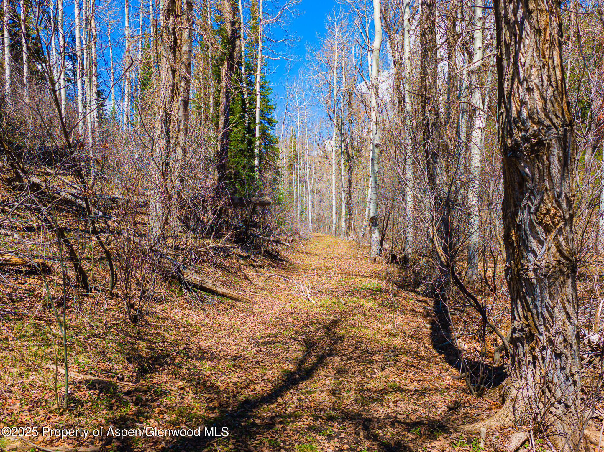 14105 County Road 245 New Castle CO 81647