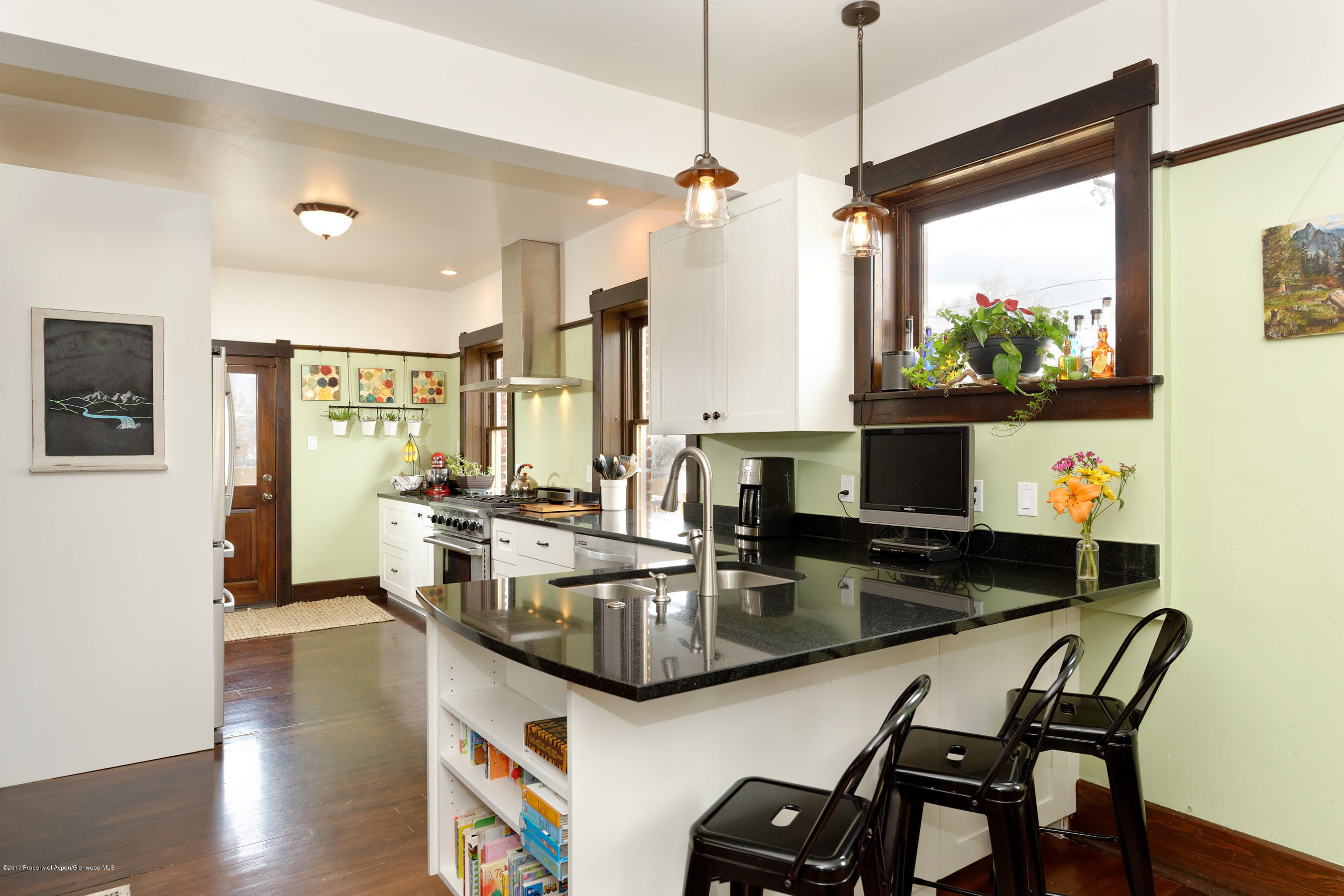 275 S 4th Street Carbondale CO 81623