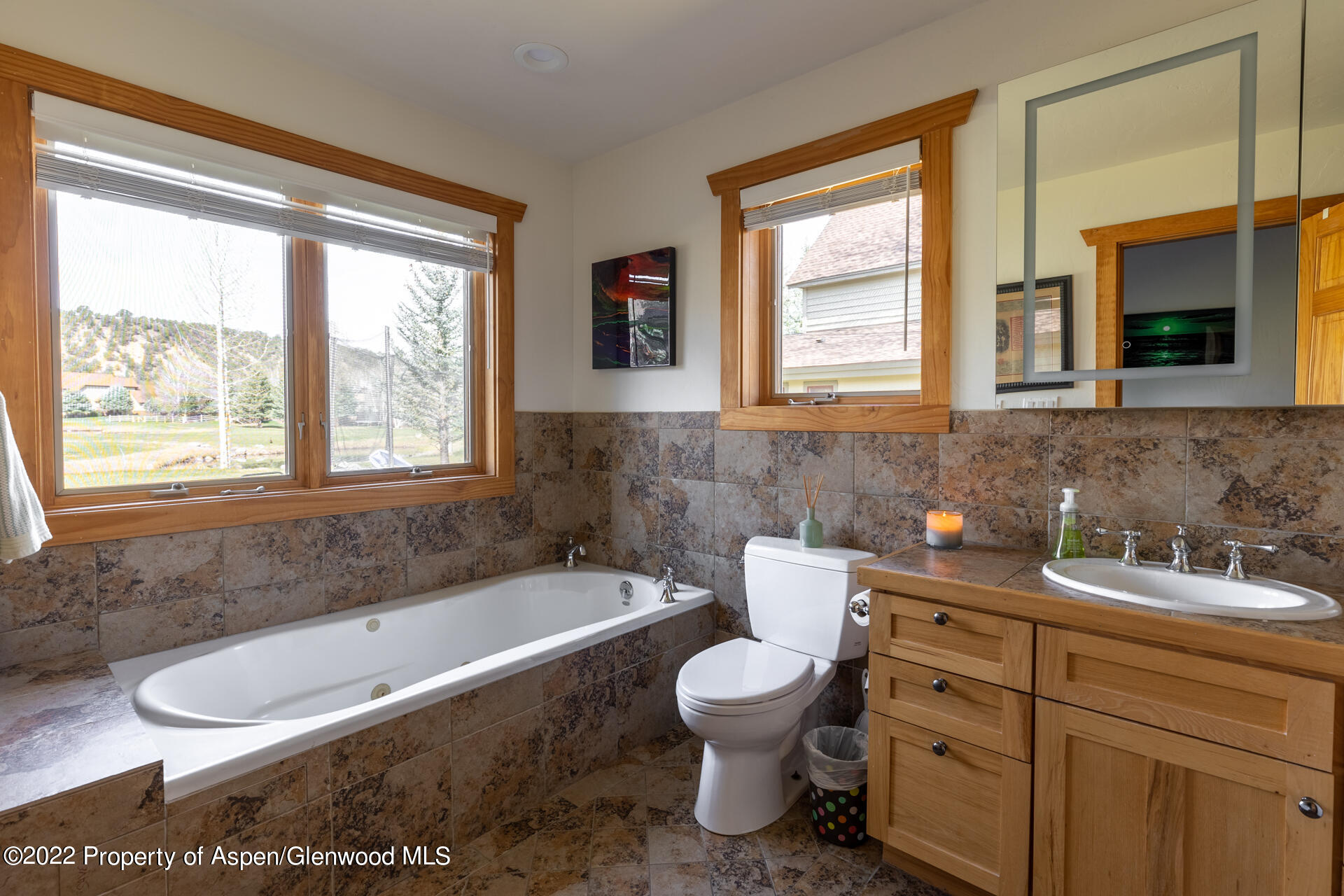 1103 Heritage Drive Carbondale CO 81623
